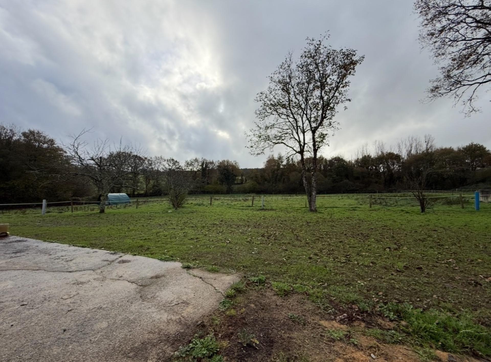 Miniature photo - 13 / 15