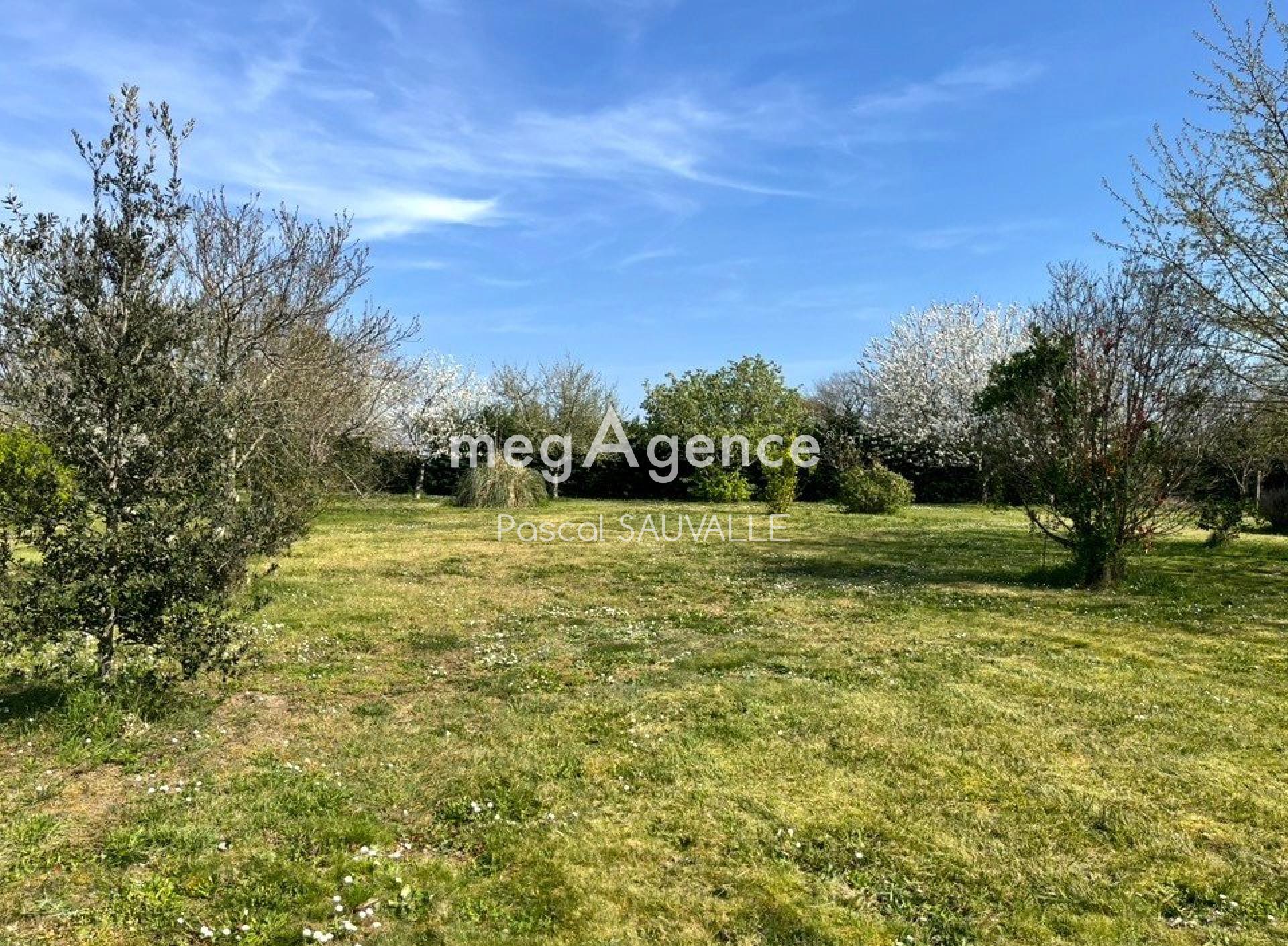 Miniature photo - 7 / 8