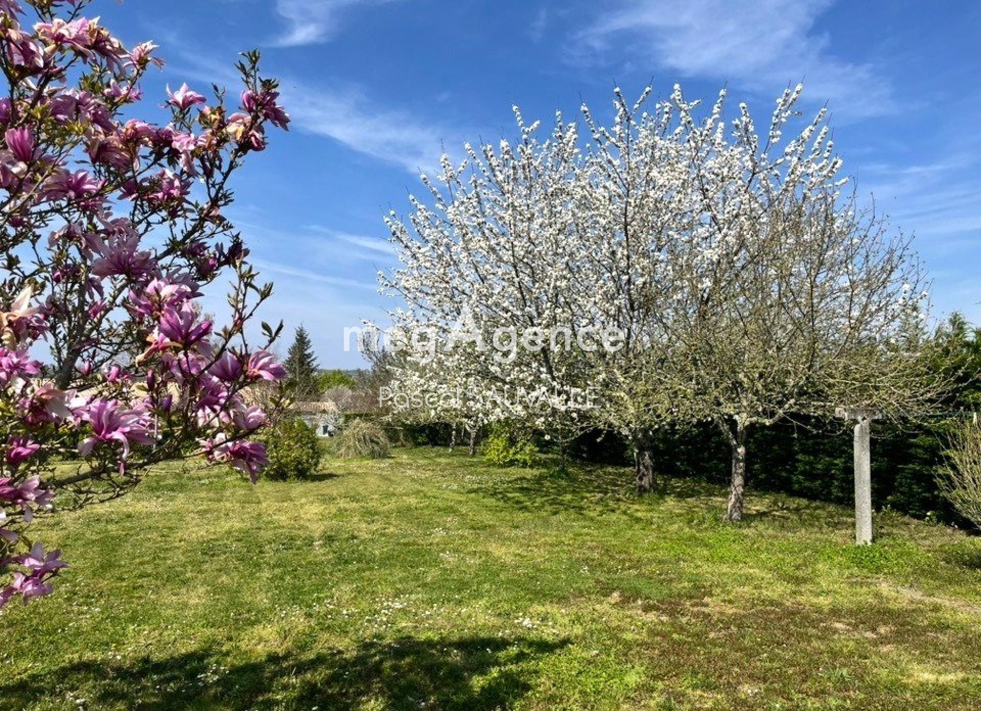 Miniature photo - 8 / 8