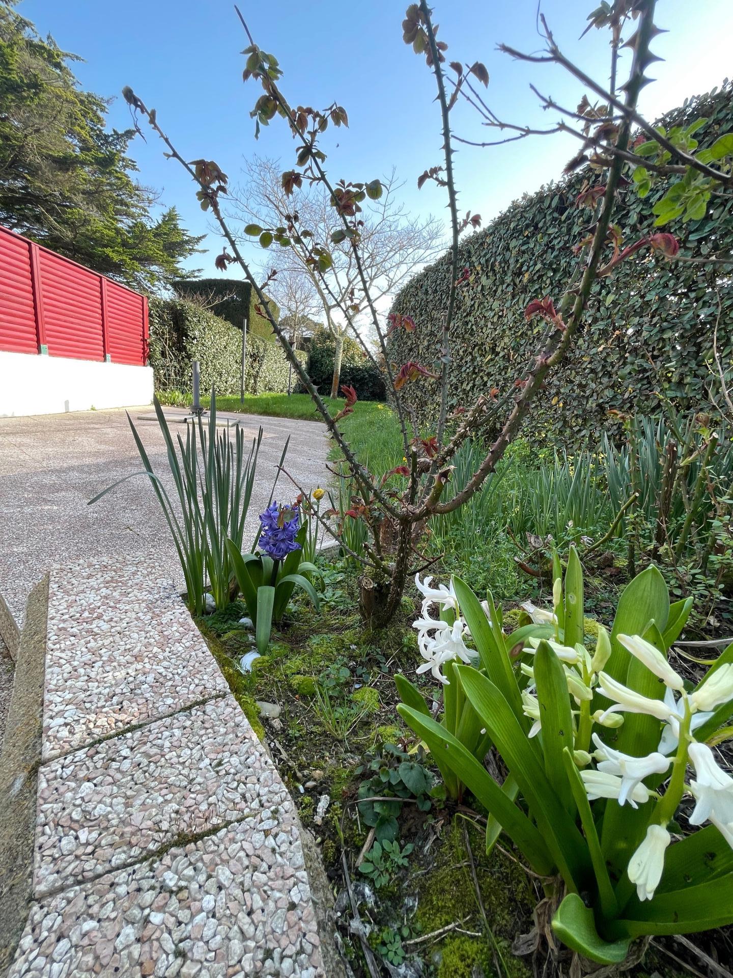 Miniature photo - 5 / 6