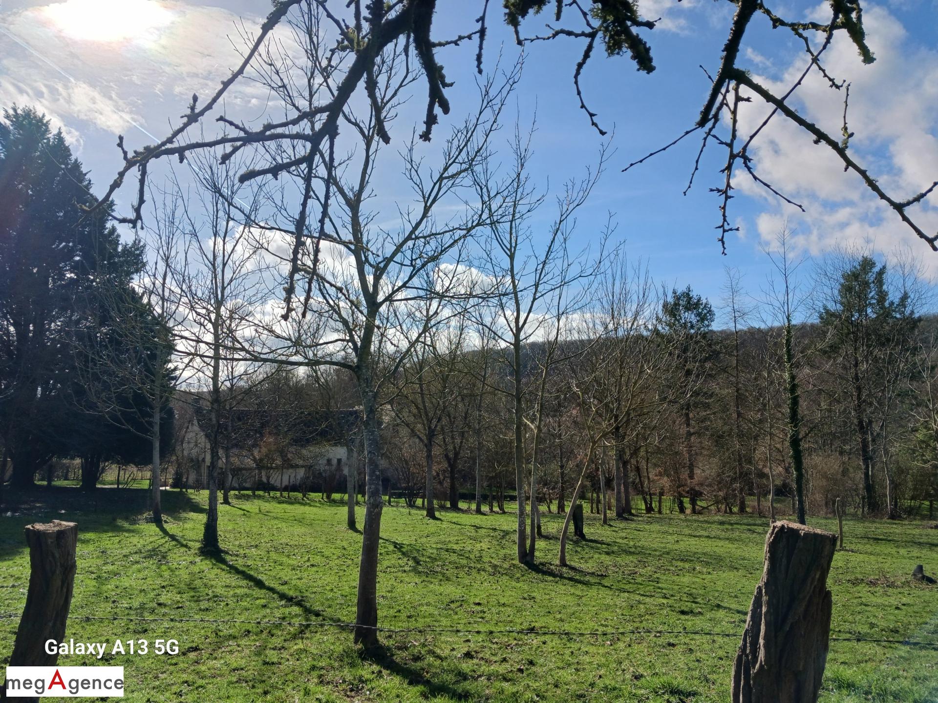 Miniature photo - 4 / 12