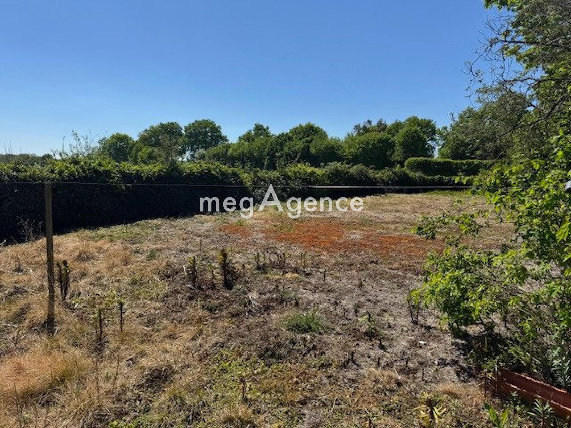 Miniature photo - 6 / 9