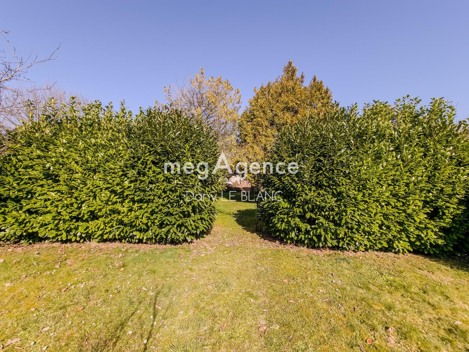 Miniature photo - 17 / 18