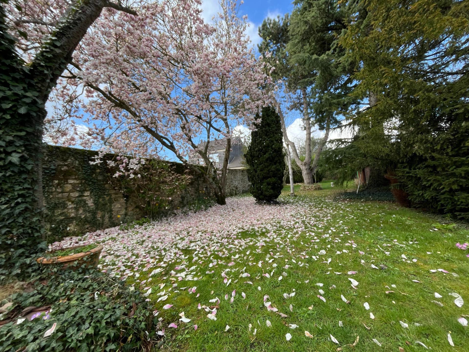 Miniature photo - 2 / 8