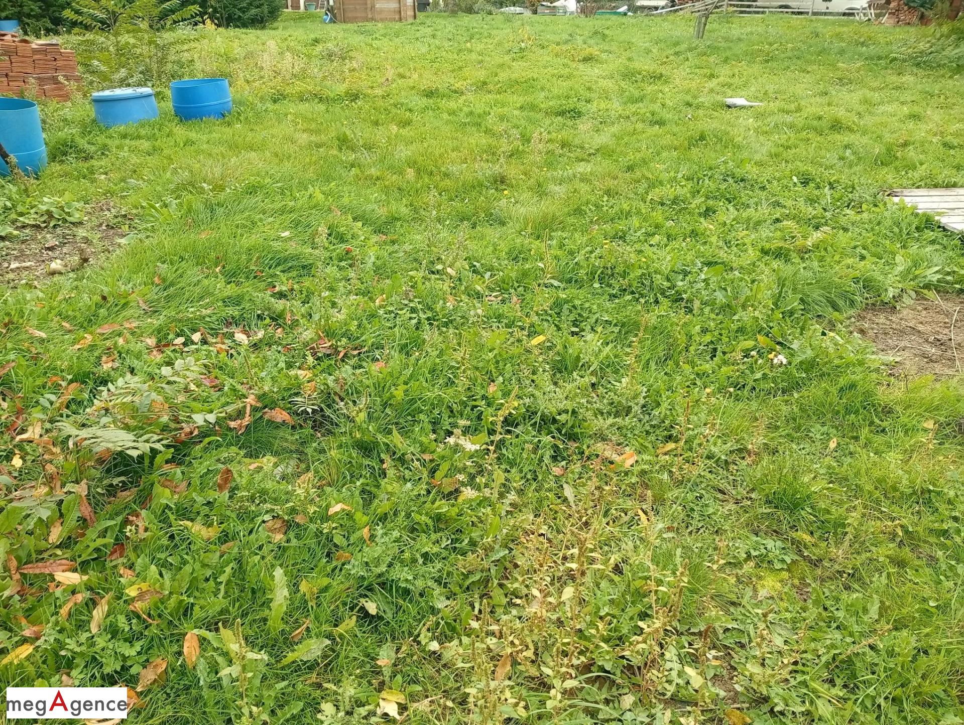 Miniature photo - 4 / 4