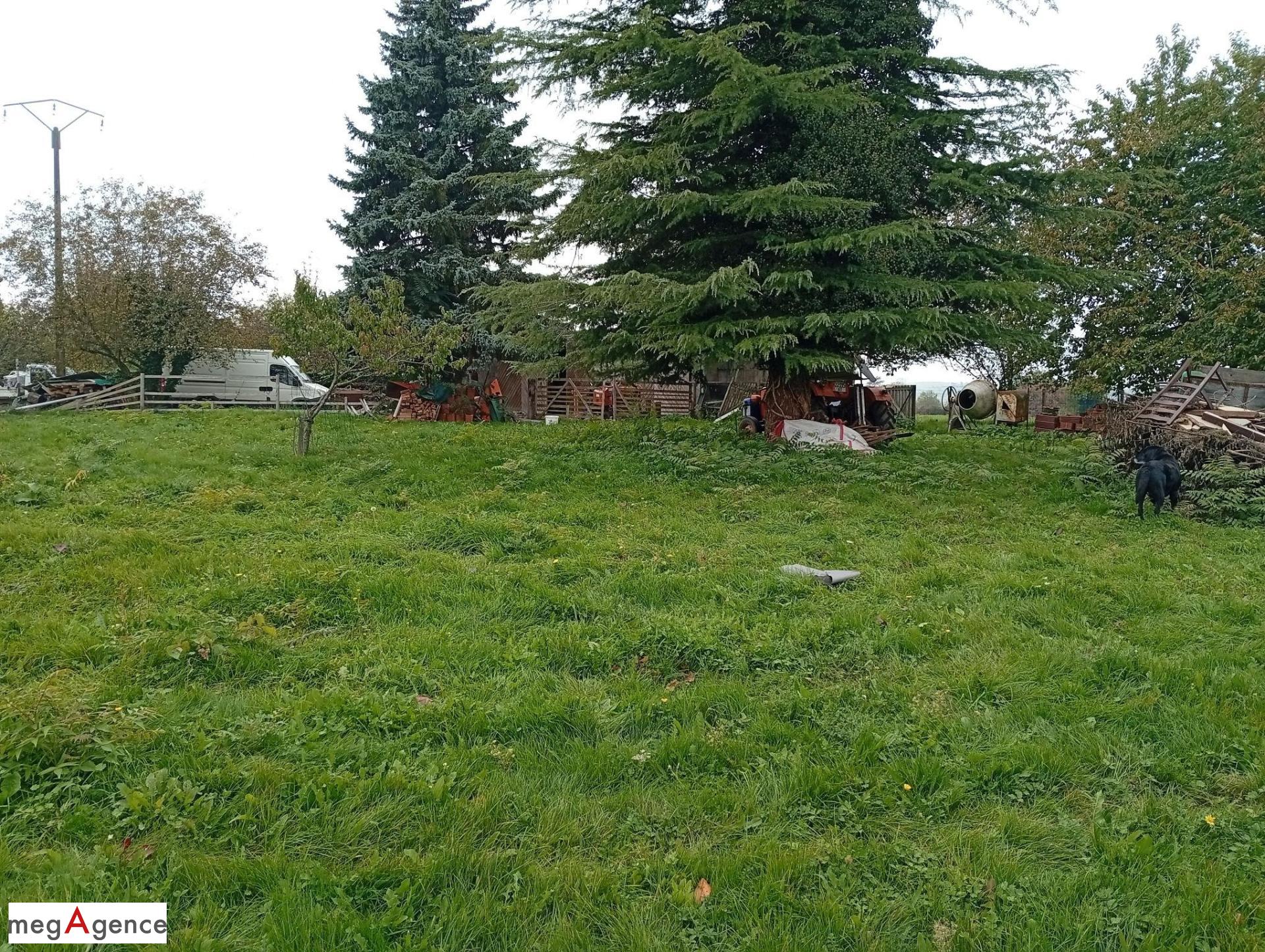 Miniature photo - 3 / 4