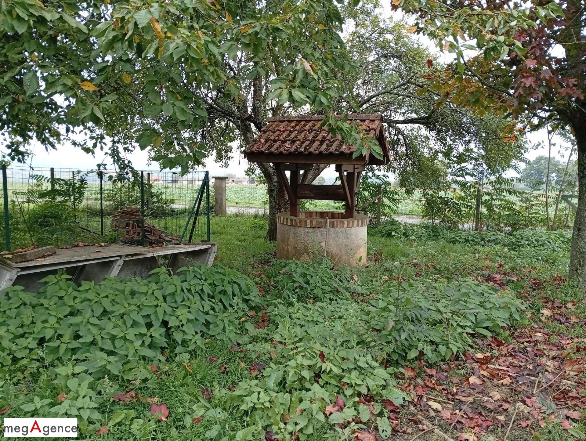 Miniature photo - 2 / 4