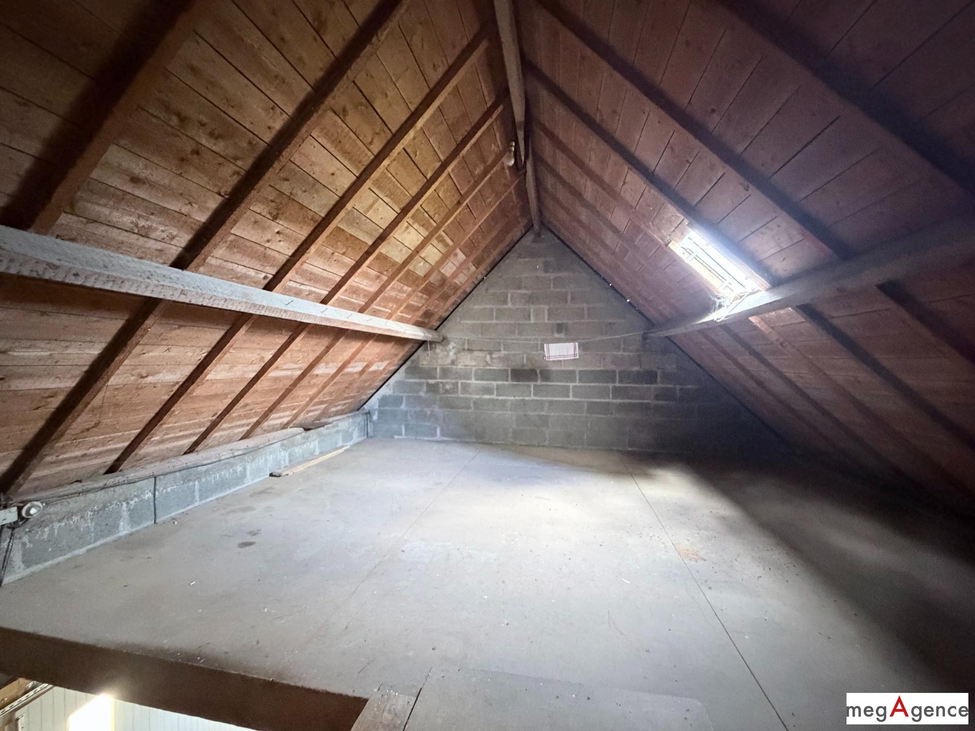 Miniature photo - 11 / 17