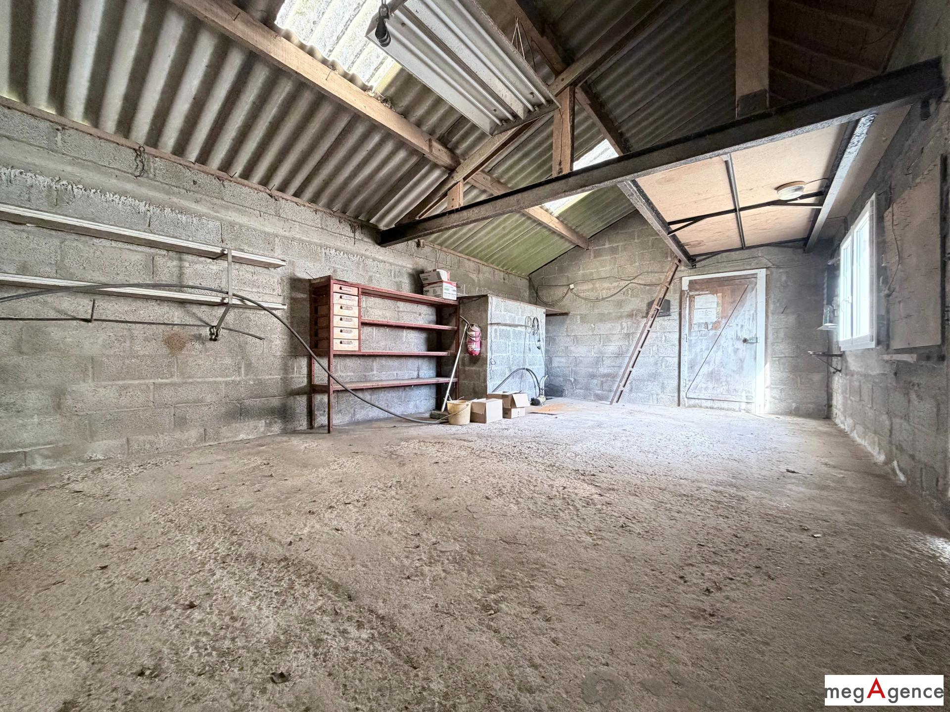 Miniature photo - 17 / 17