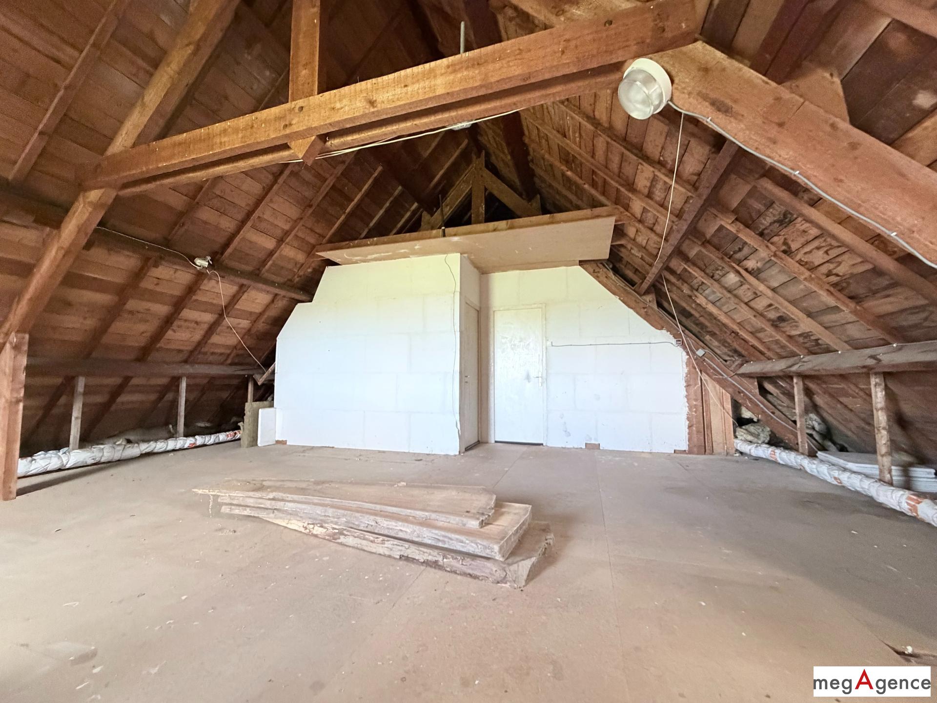 Miniature photo - 12 / 17