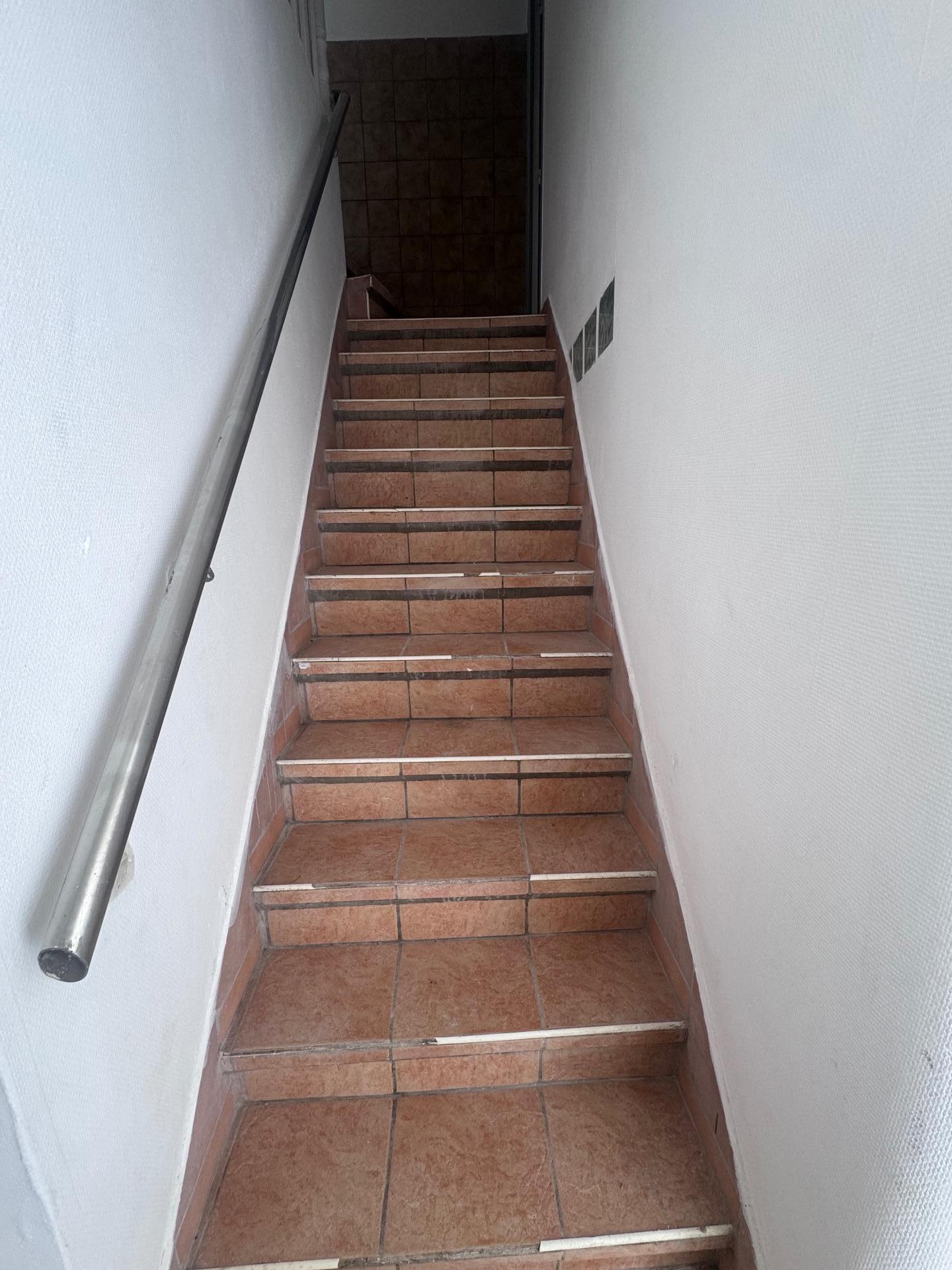 Miniature photo - 3 / 8