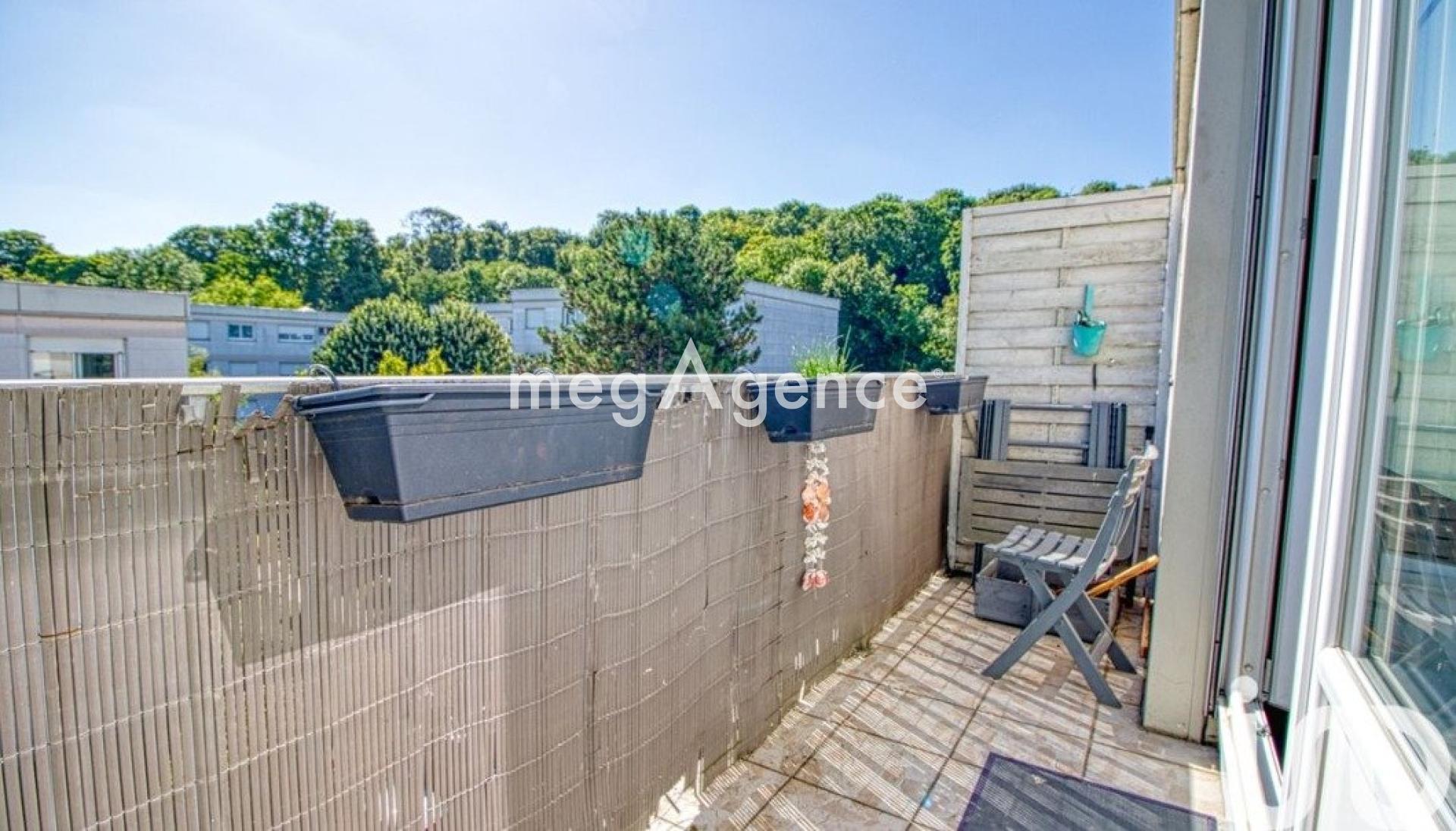 Miniature photo - 11 / 11