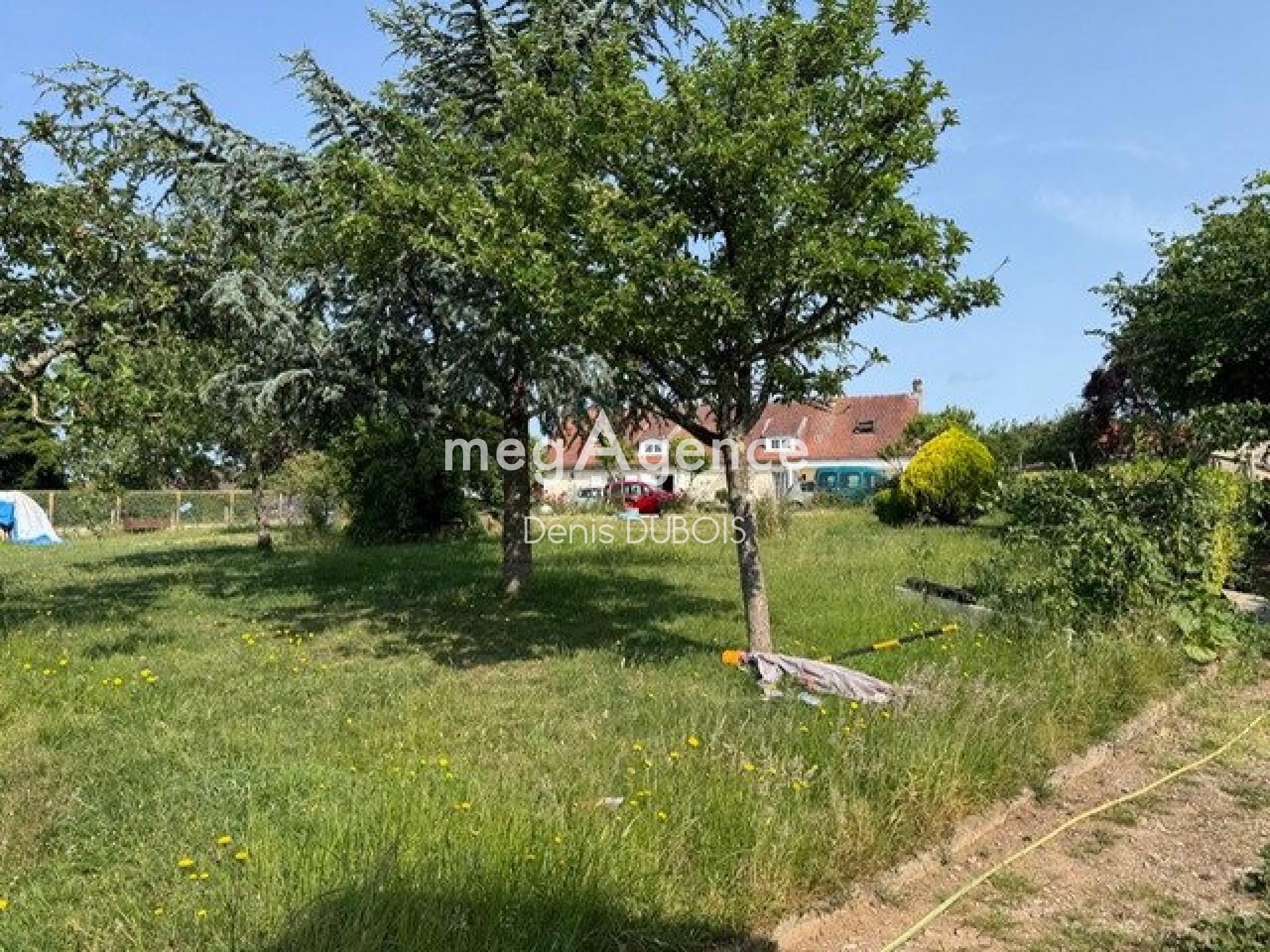 Miniature photo - 2 / 12