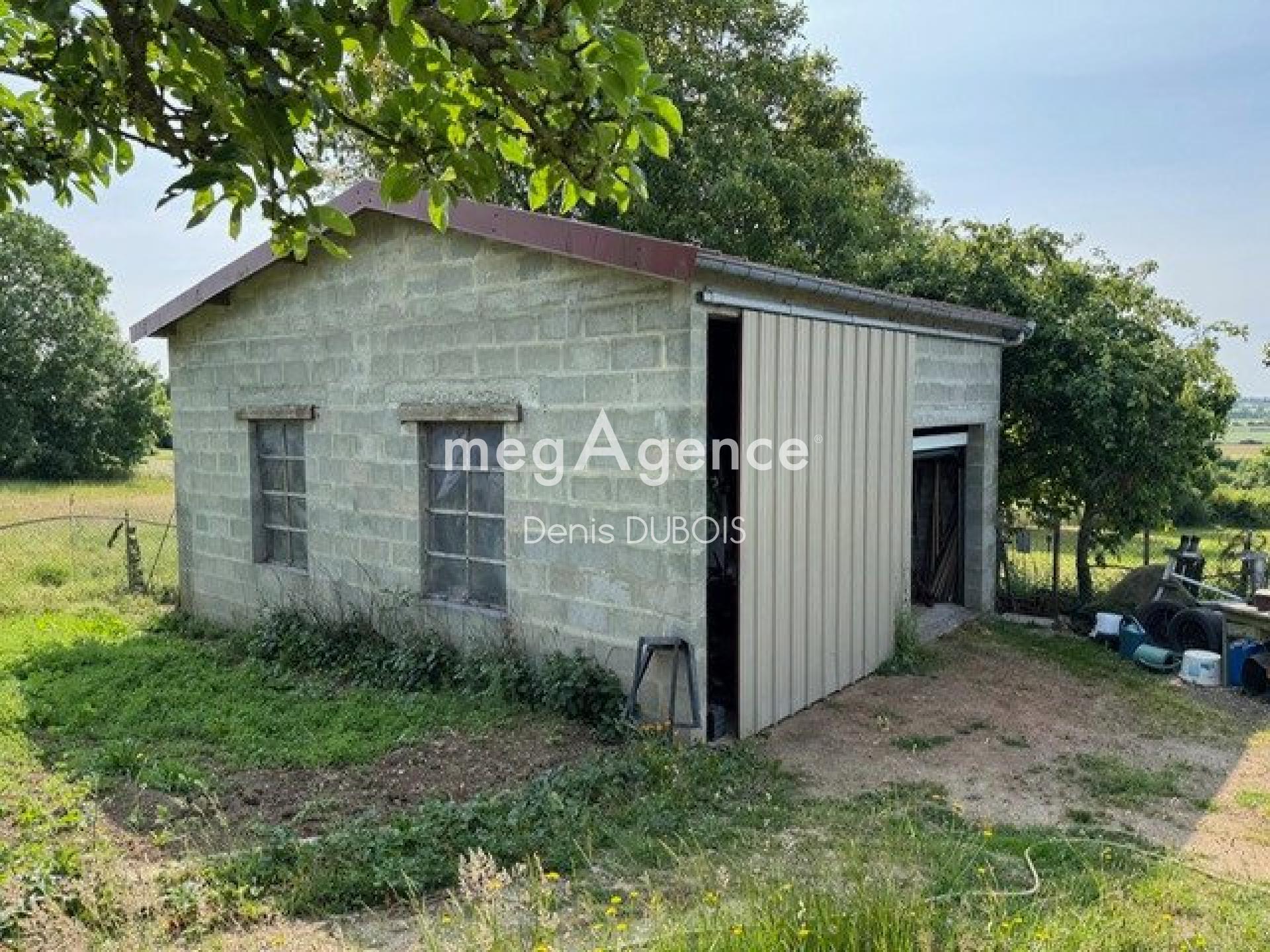 Miniature photo - 8 / 12