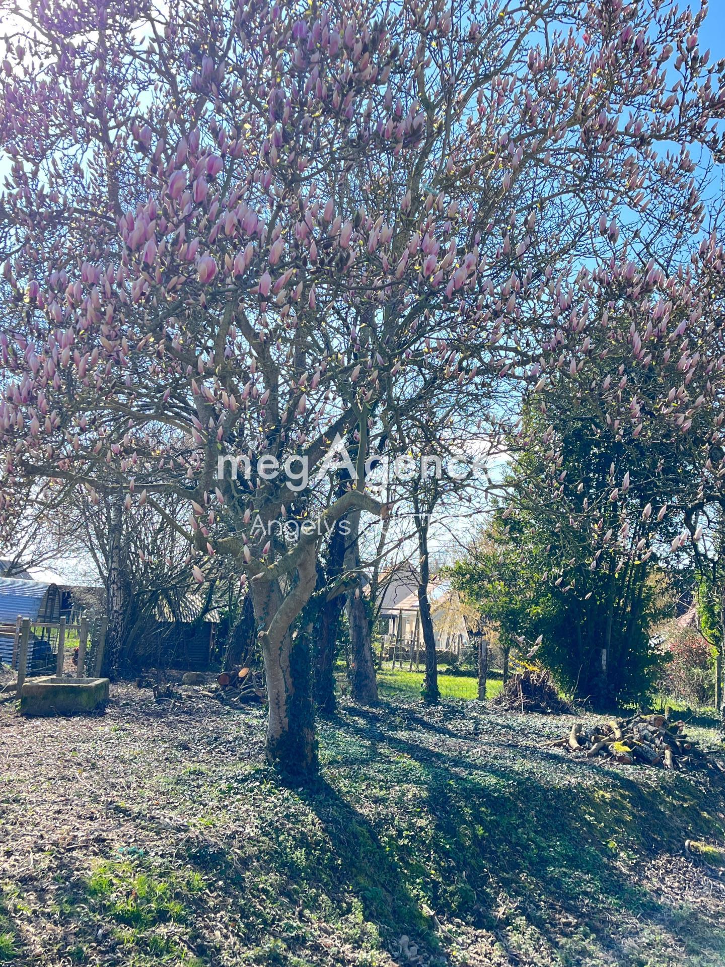 Photographie descriptive du bien