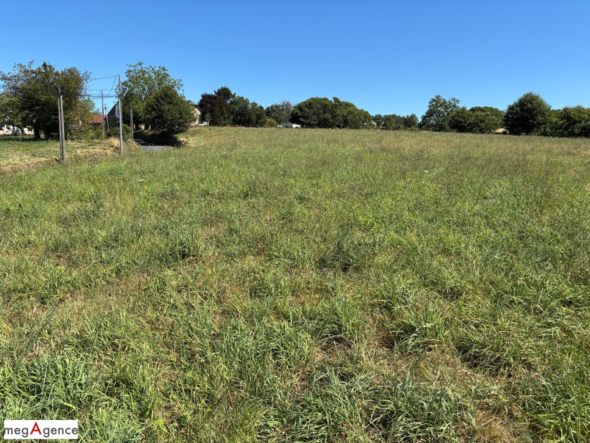 Miniature photo - 3 / 3