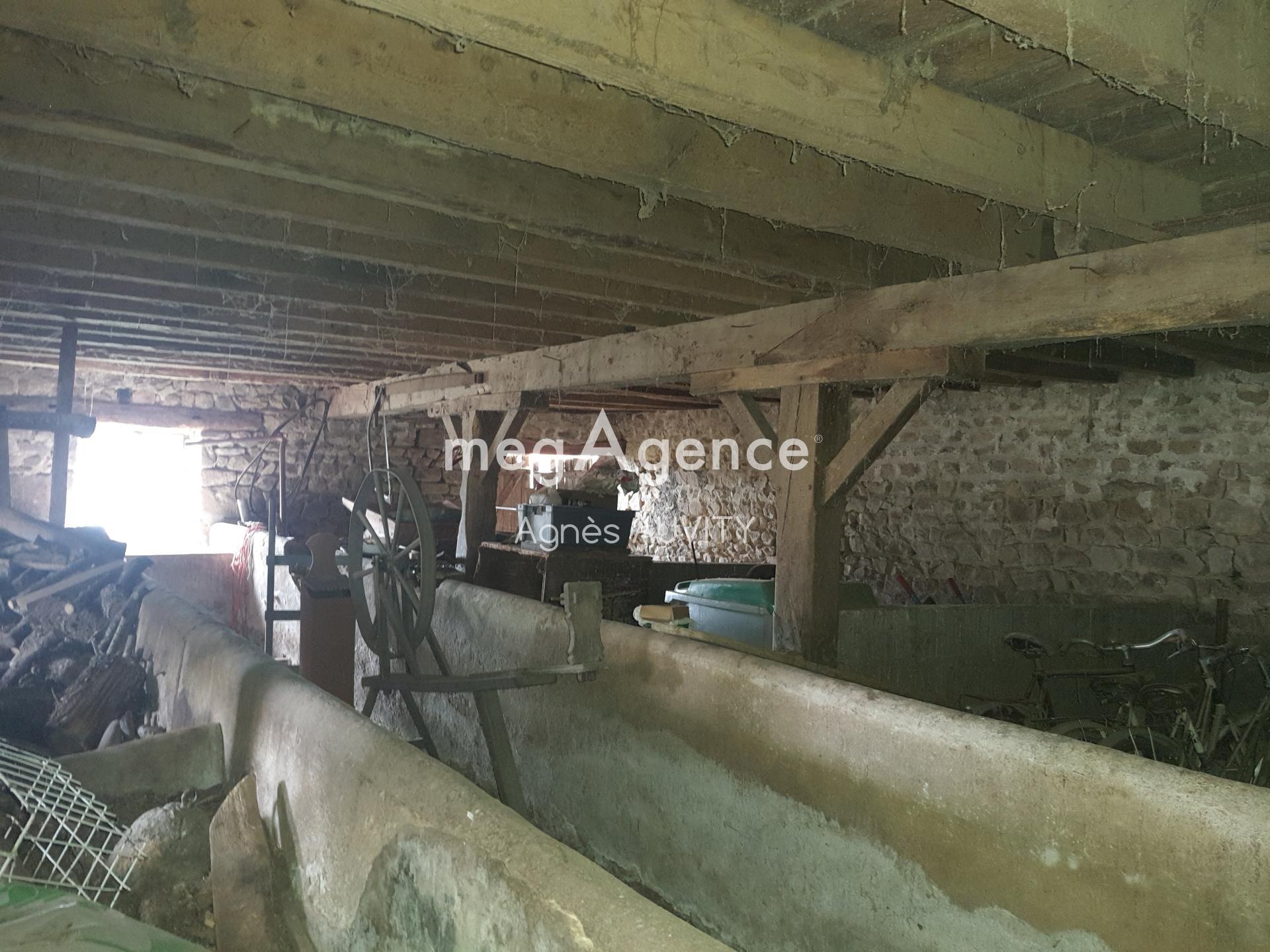 Miniature photo - 10 / 10