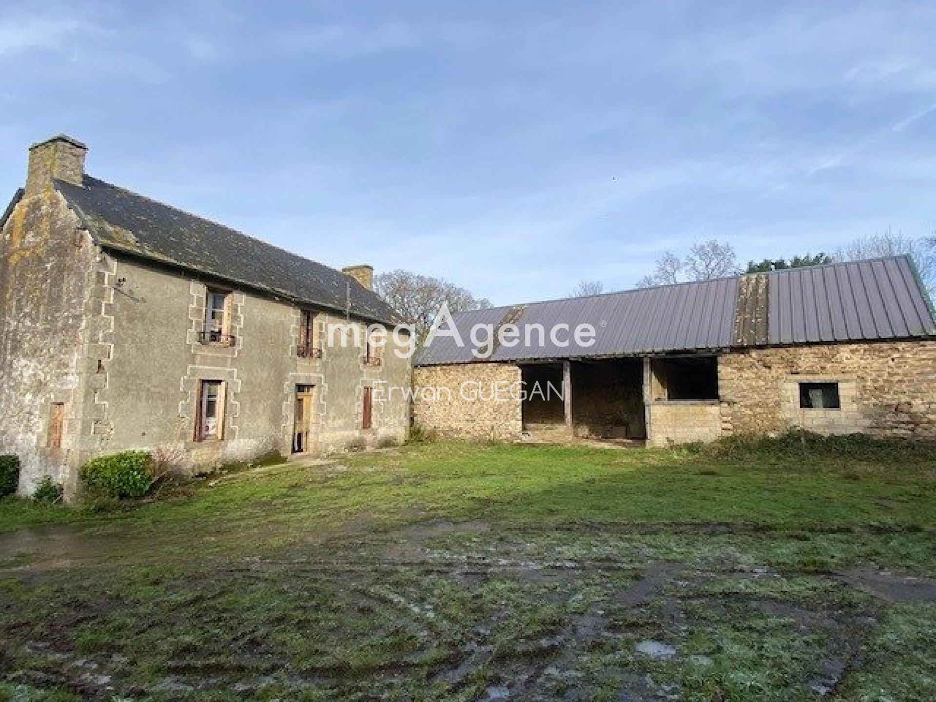 Miniature photo - 2 / 20