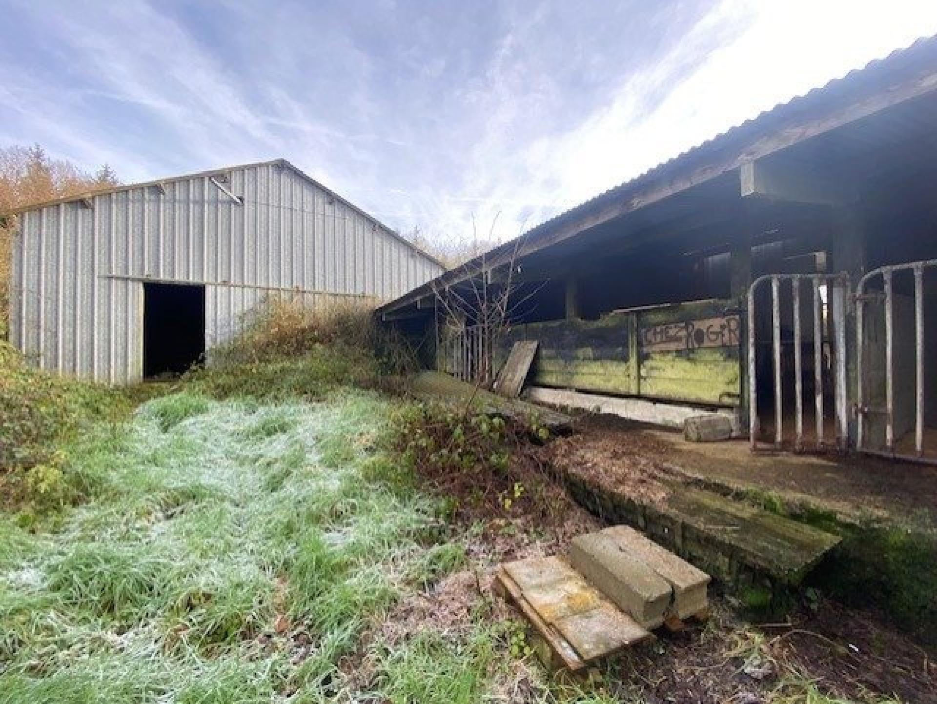 Miniature photo - 13 / 20