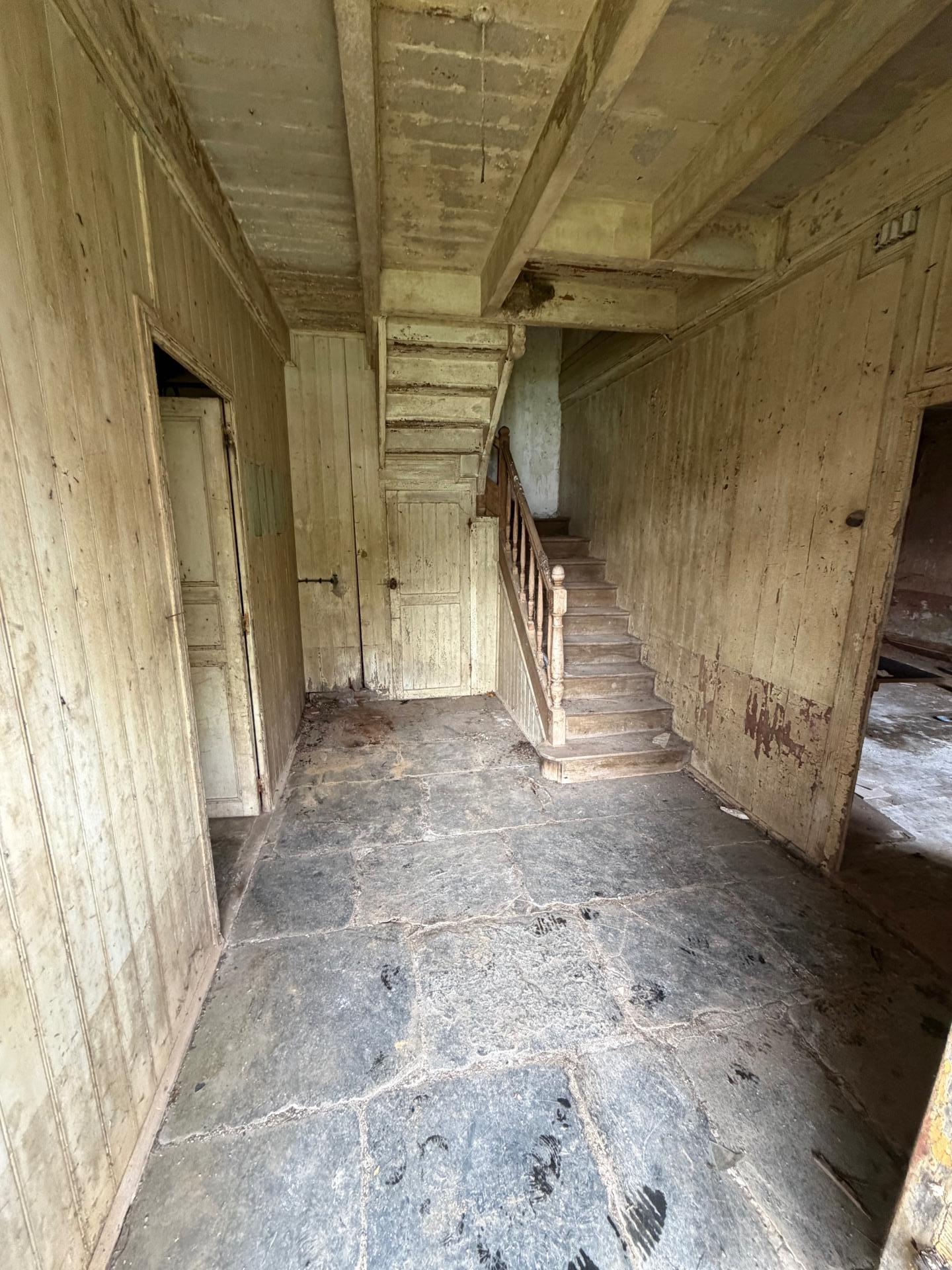 Miniature photo - 3 / 20