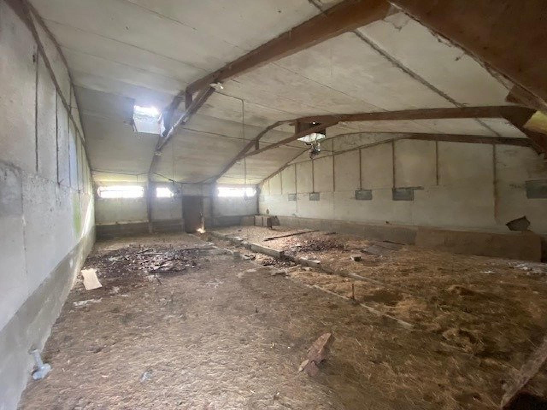 Miniature photo - 12 / 20