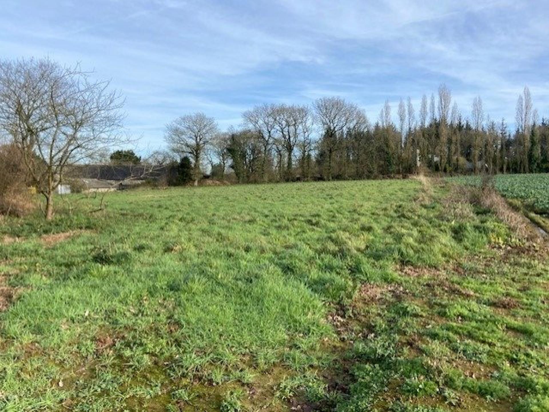 Miniature photo - 19 / 20