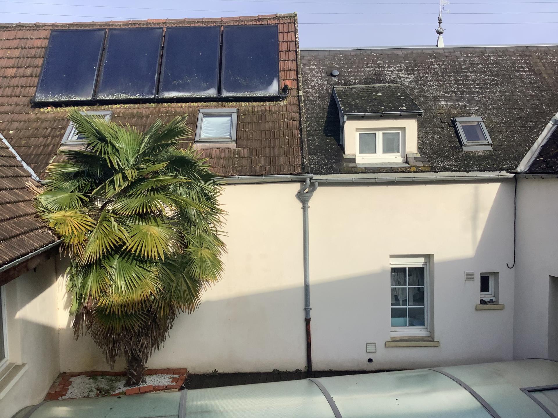 Miniature photo - 2 / 11