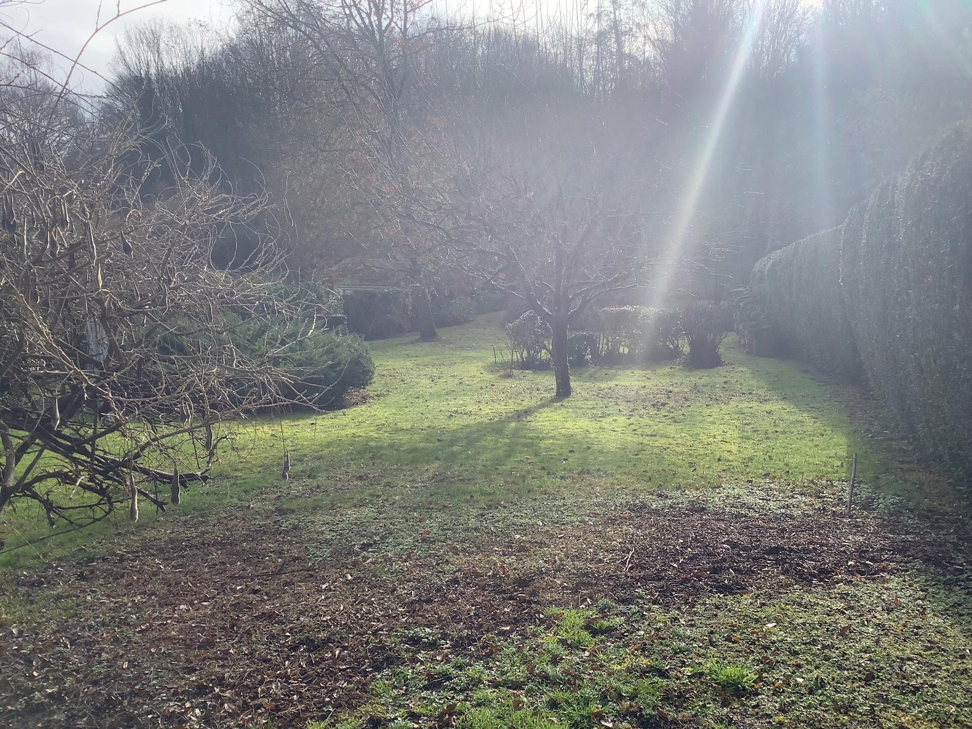 Miniature photo - 7 / 11