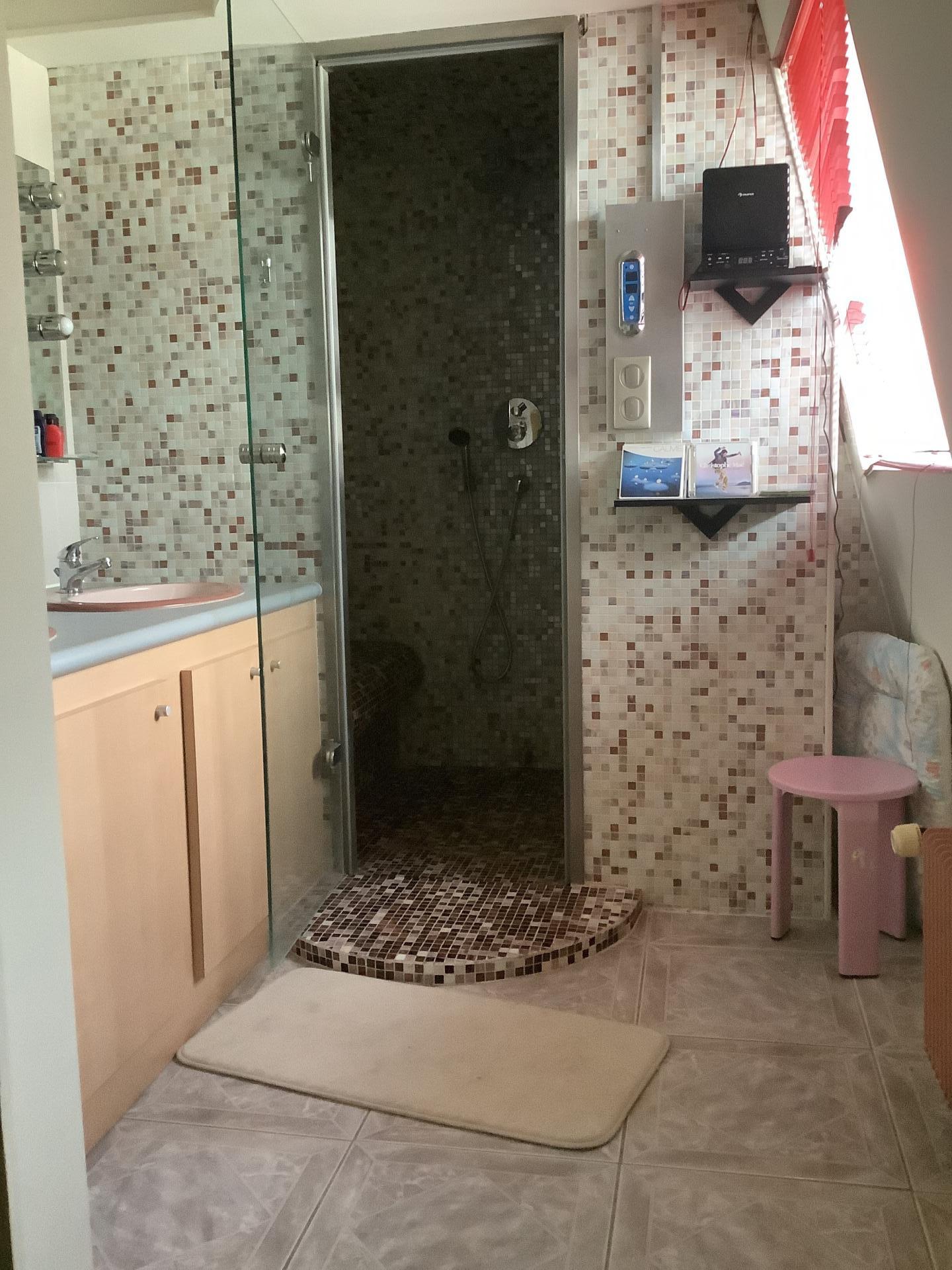 Miniature photo - 4 / 11