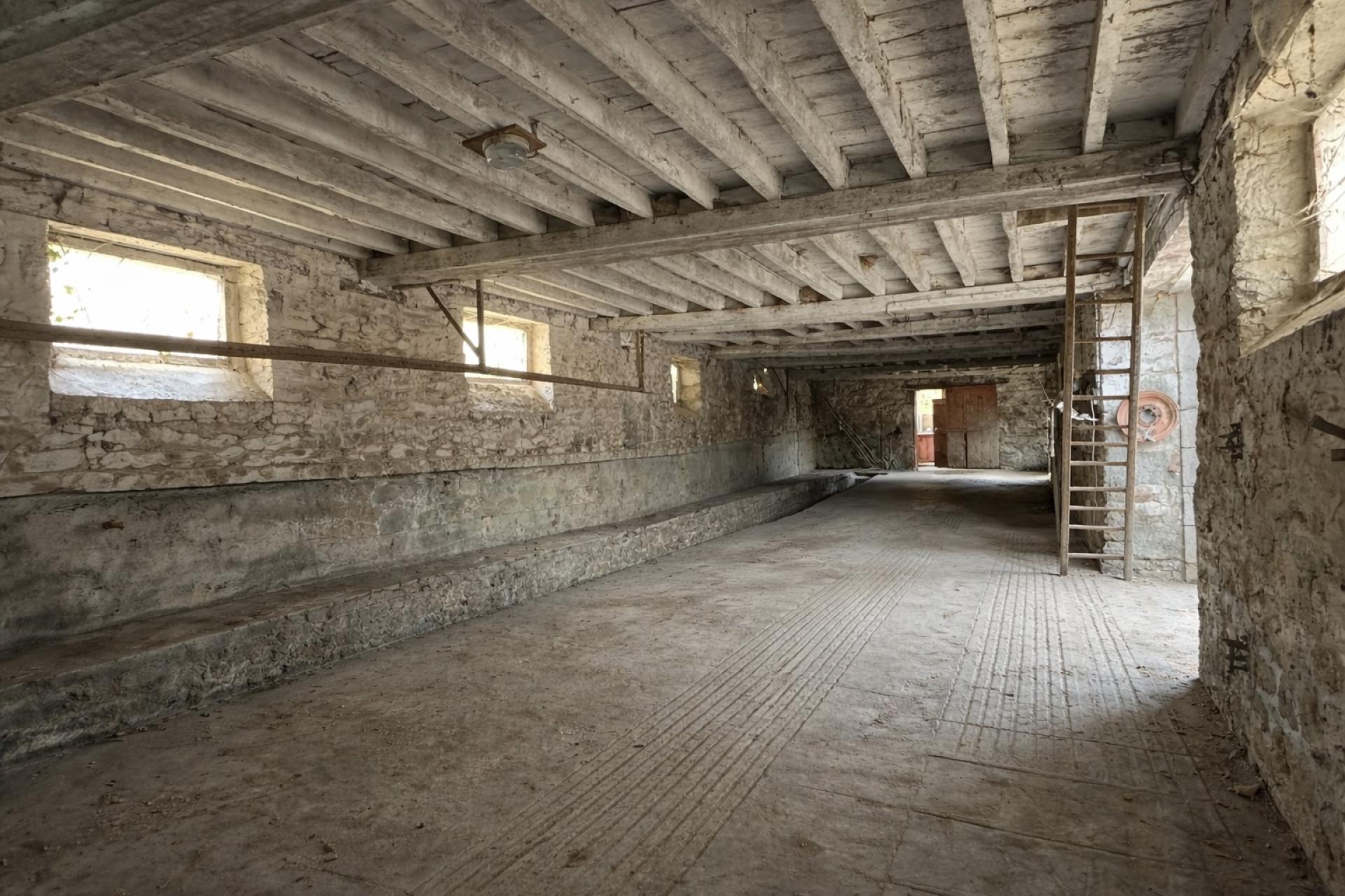 Miniature photo - 15 / 17