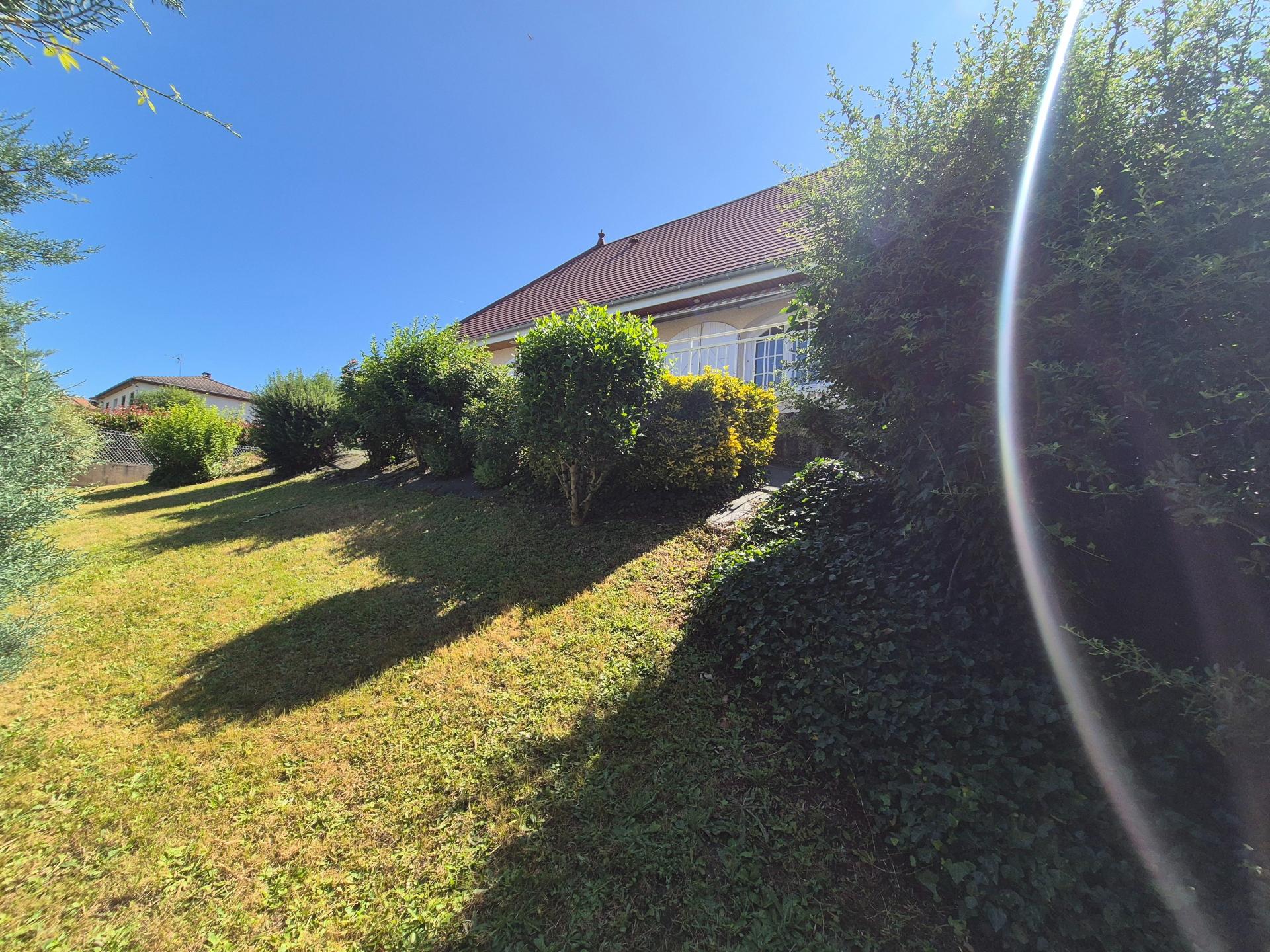 Miniature photo - 12 / 20