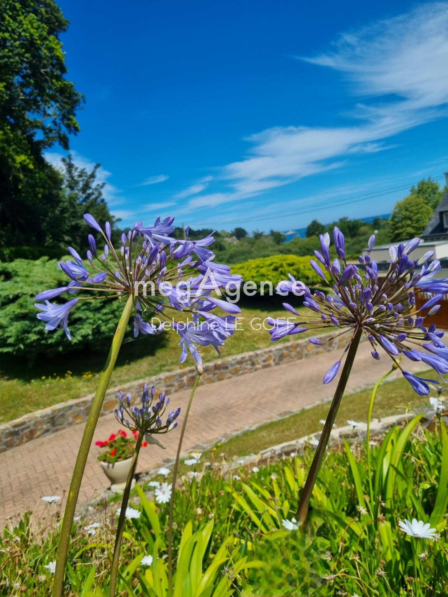 Miniature photo - 15 / 16