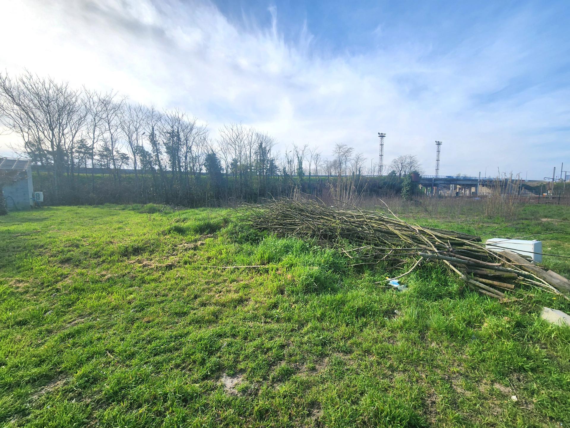 Miniature photo - 2 / 2