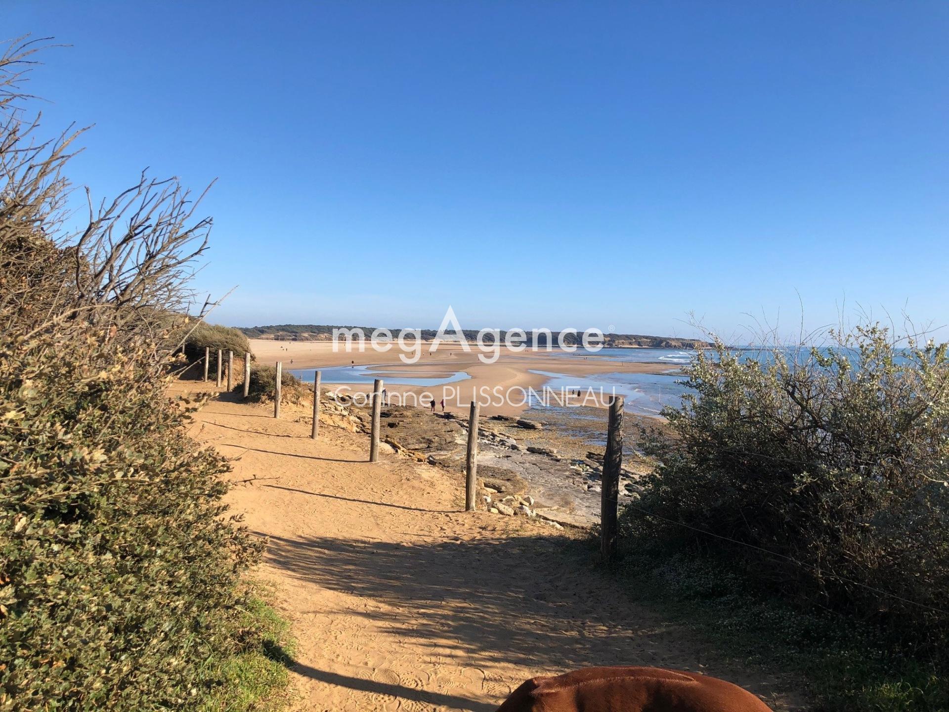 Miniature photo - 3 / 10