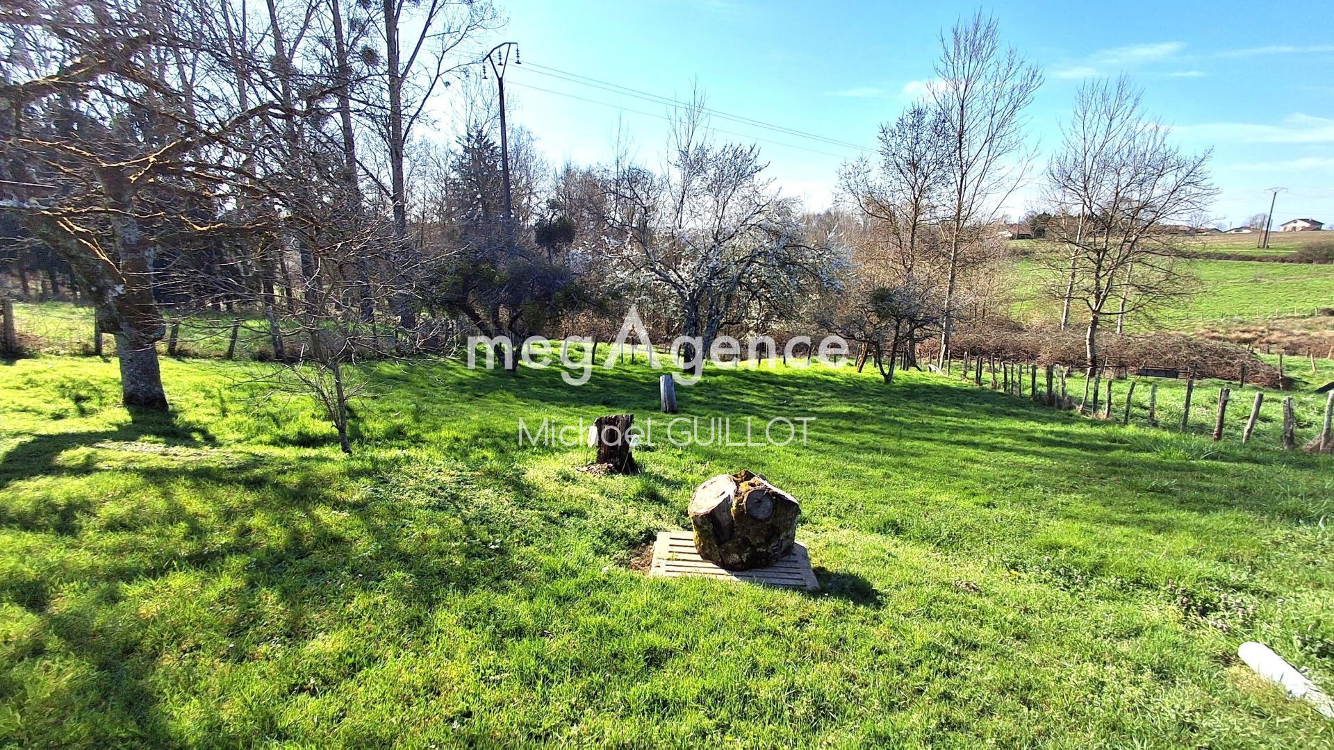 Miniature photo - 10 / 10