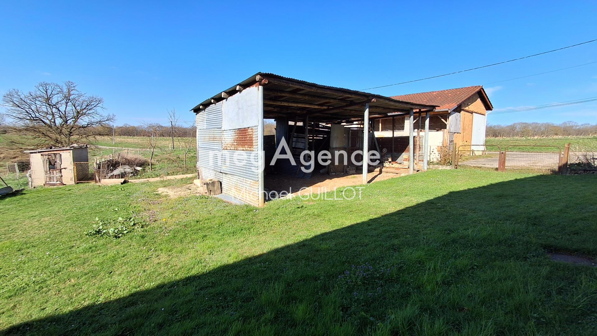 Miniature photo - 8 / 10