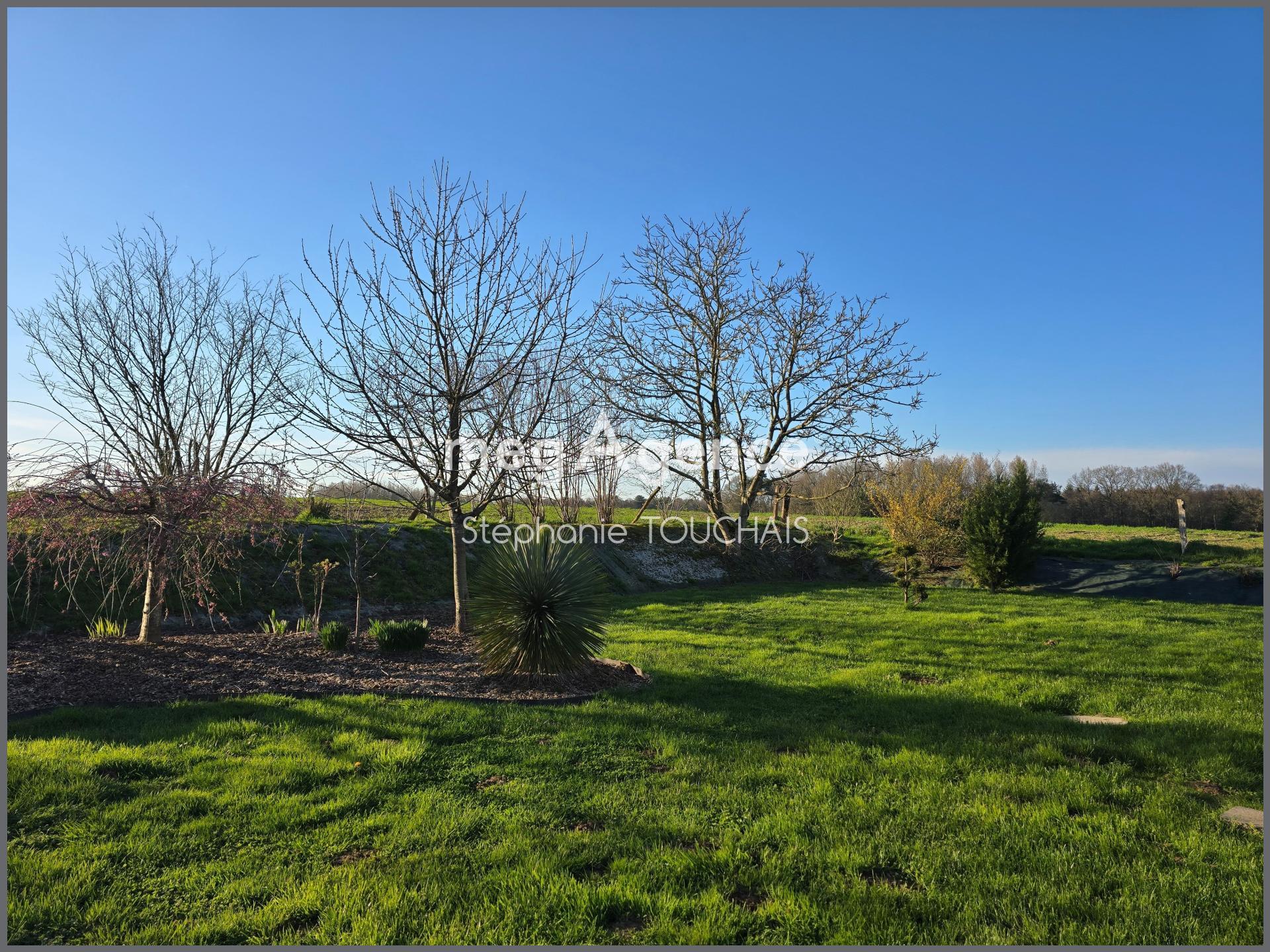 Miniature photo - 18 / 19