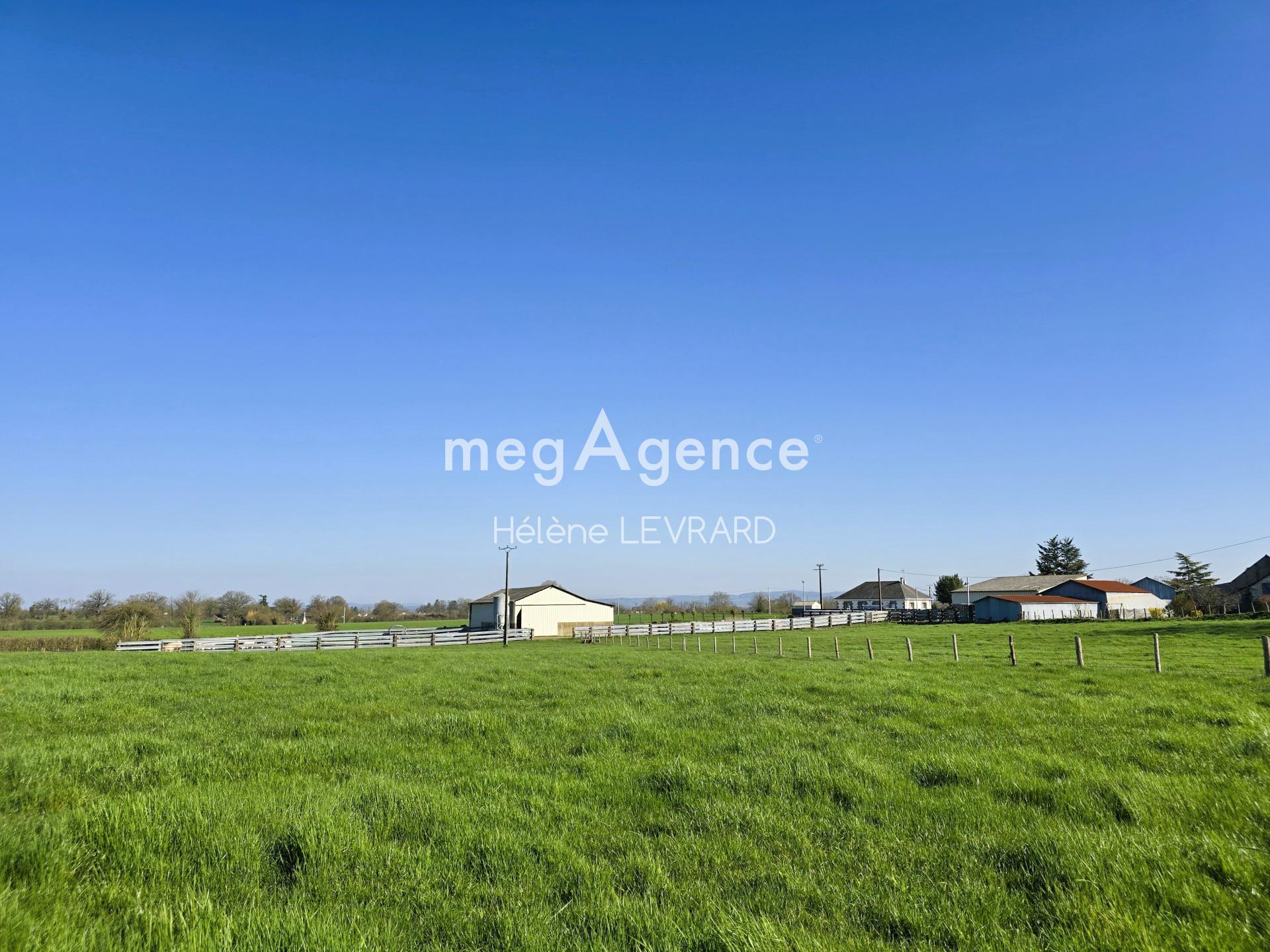 Miniature photo - 9 / 9