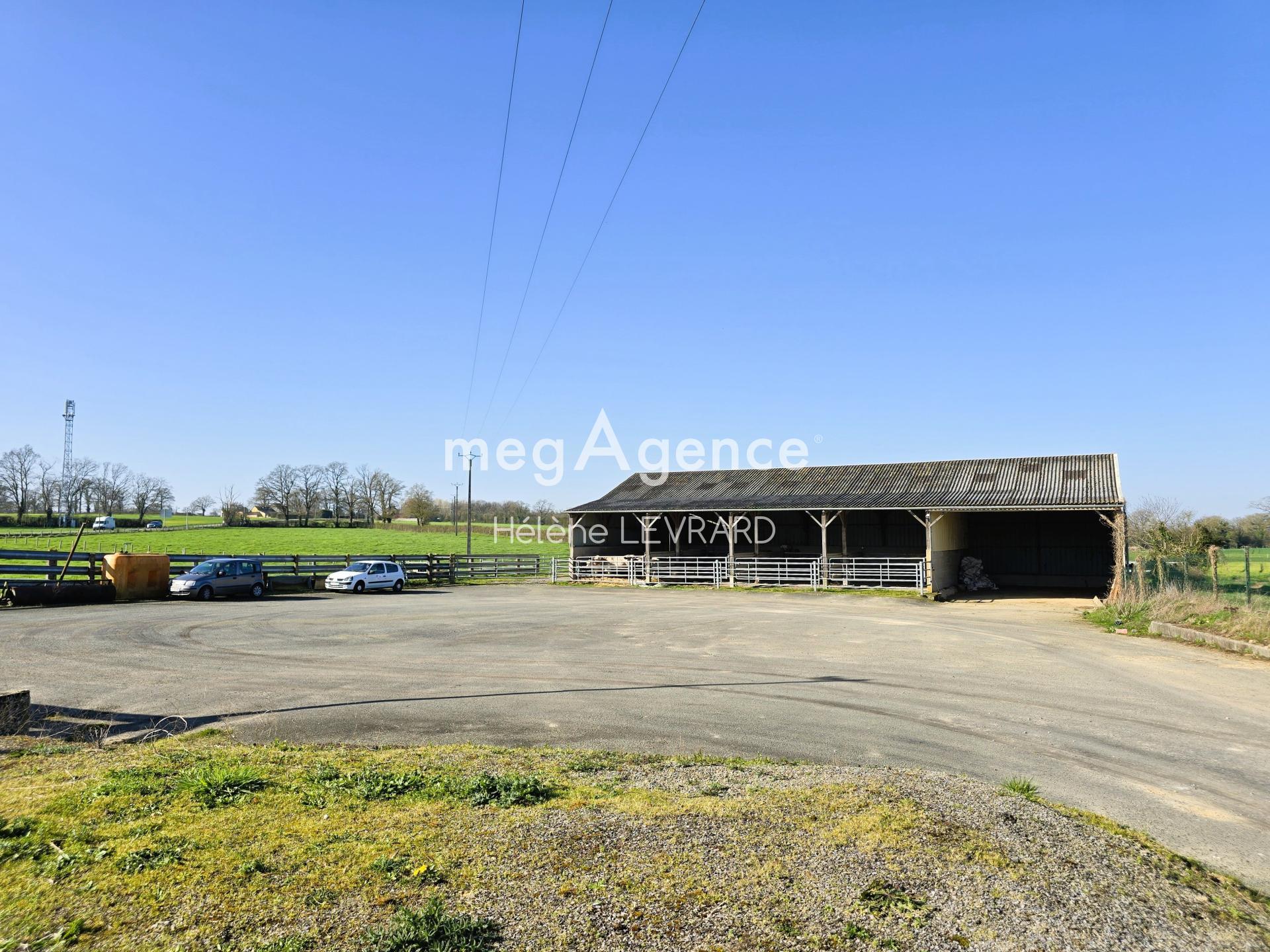 Miniature photo - 8 / 9