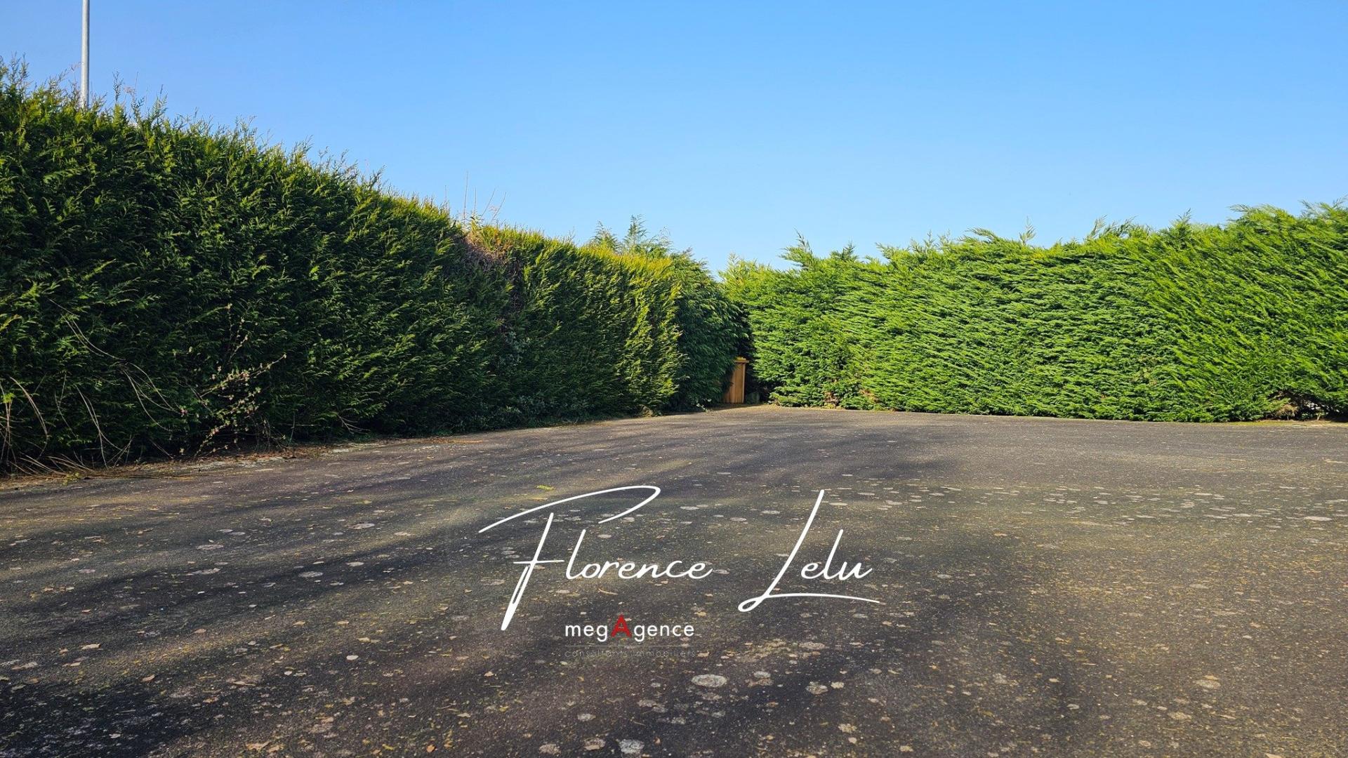 Miniature photo - 13 / 13