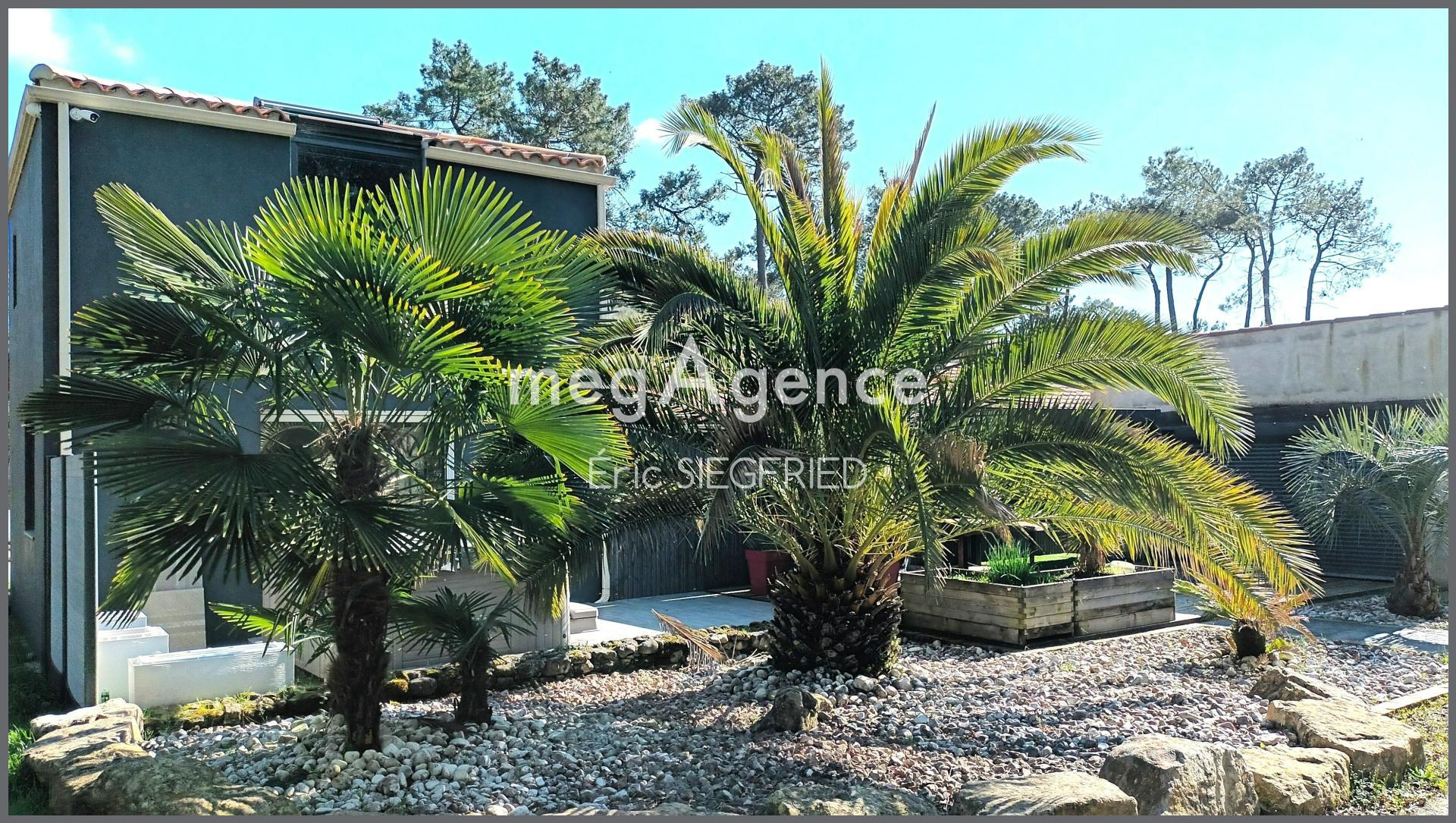 Miniature photo - 3 / 11