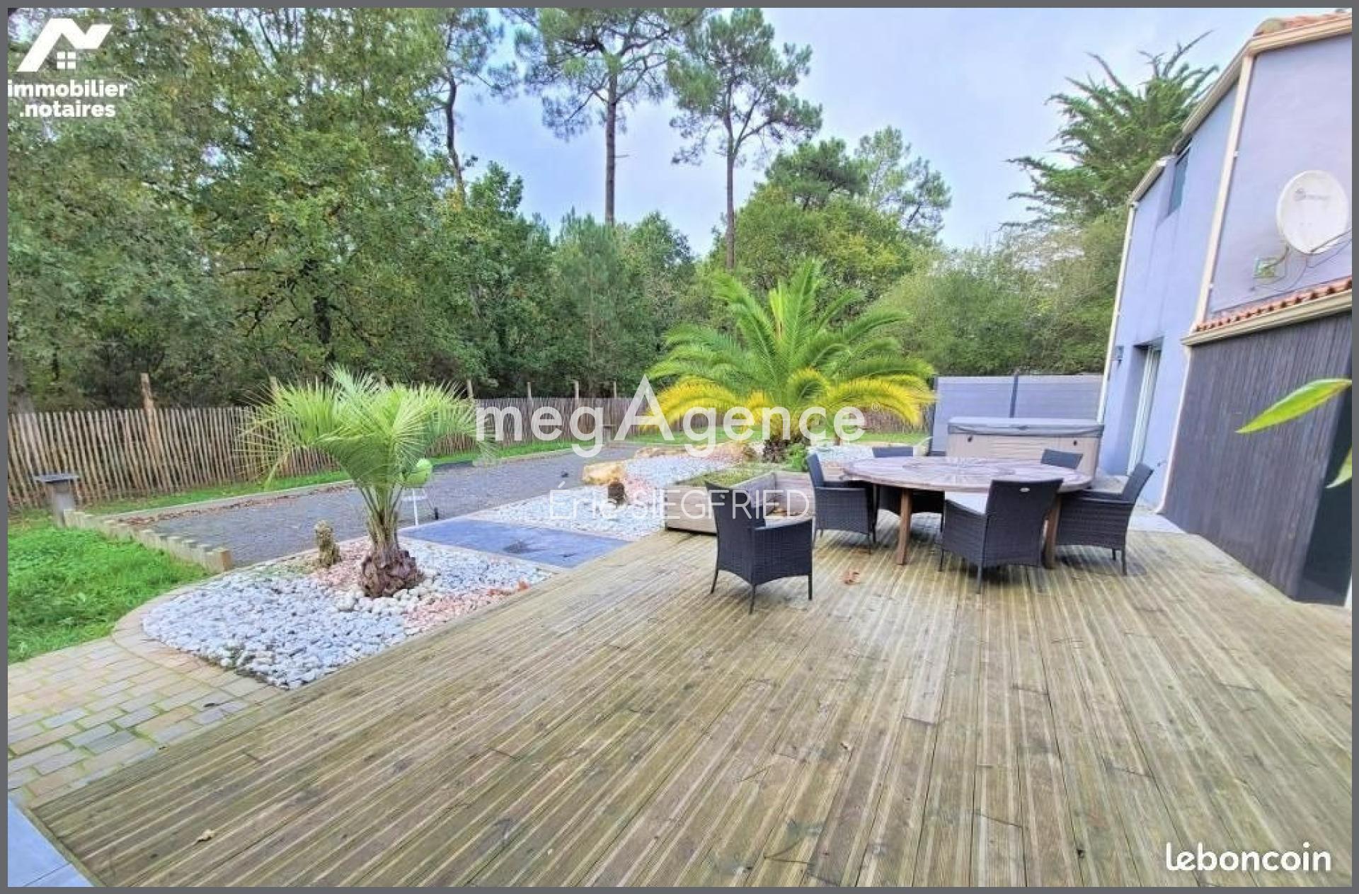 Miniature photo - 4 / 11