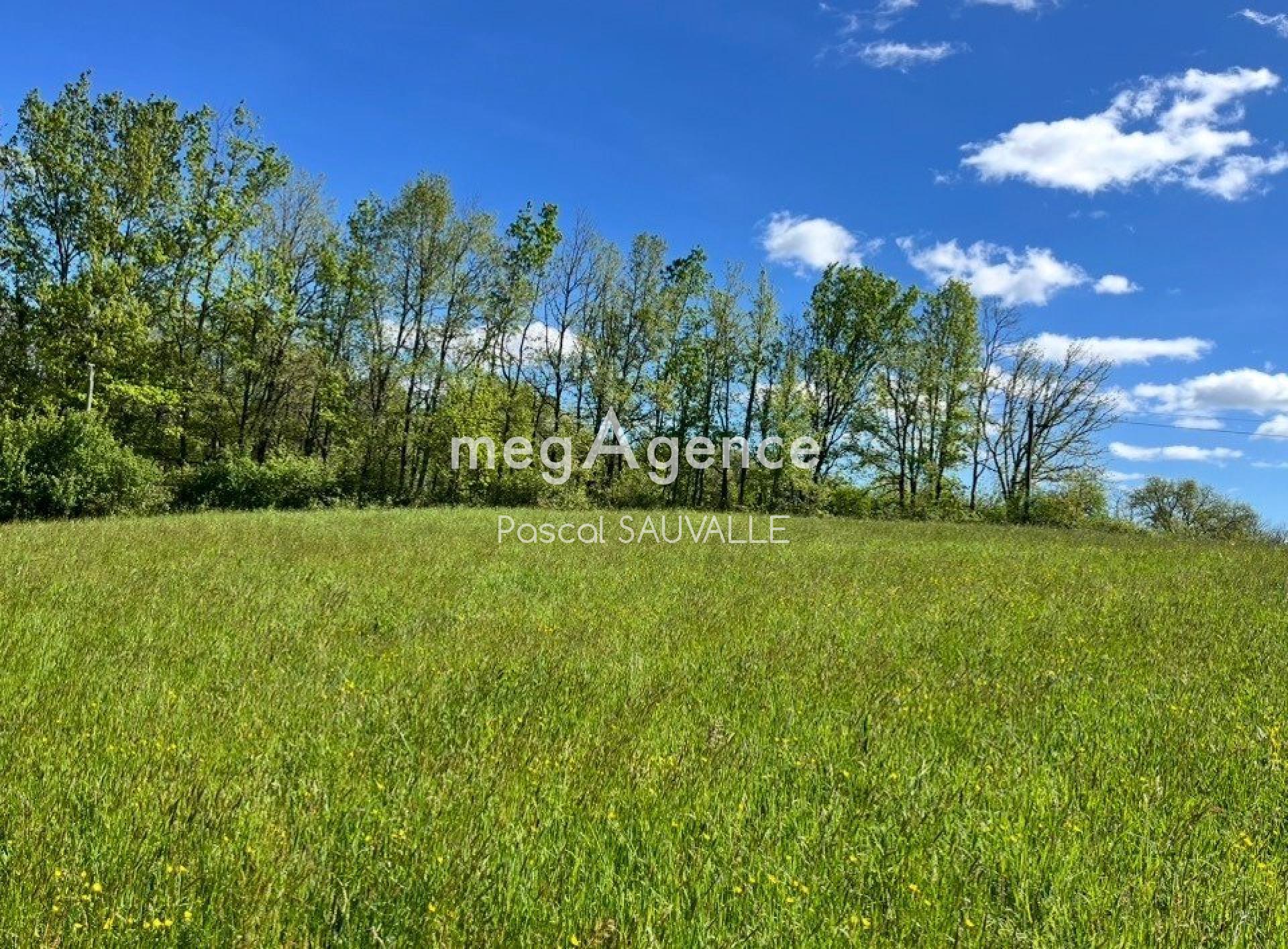 Miniature photo - 2 / 2