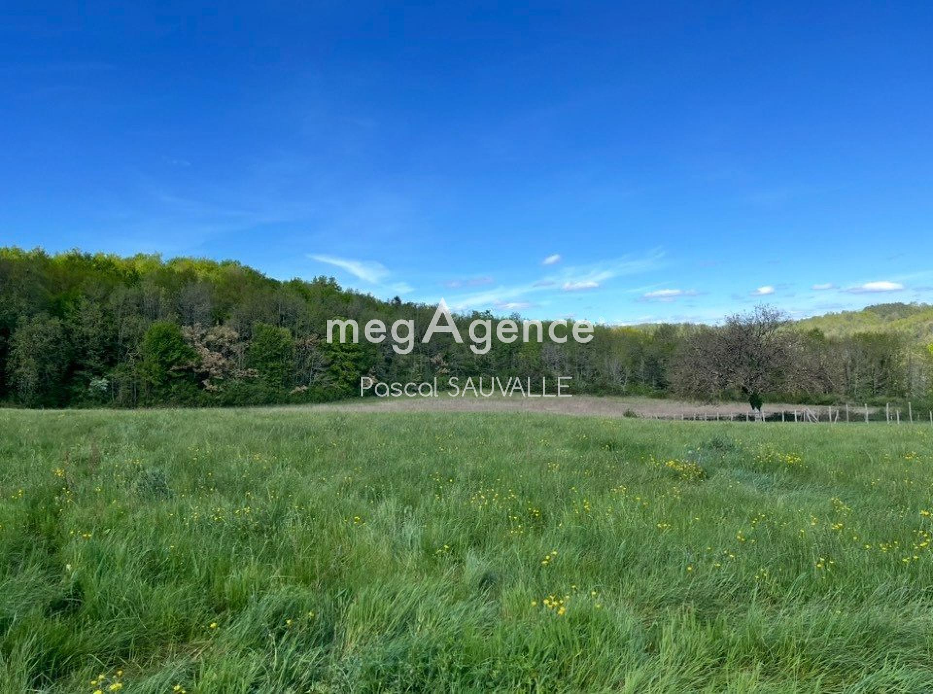 Miniature photo - 2 / 2