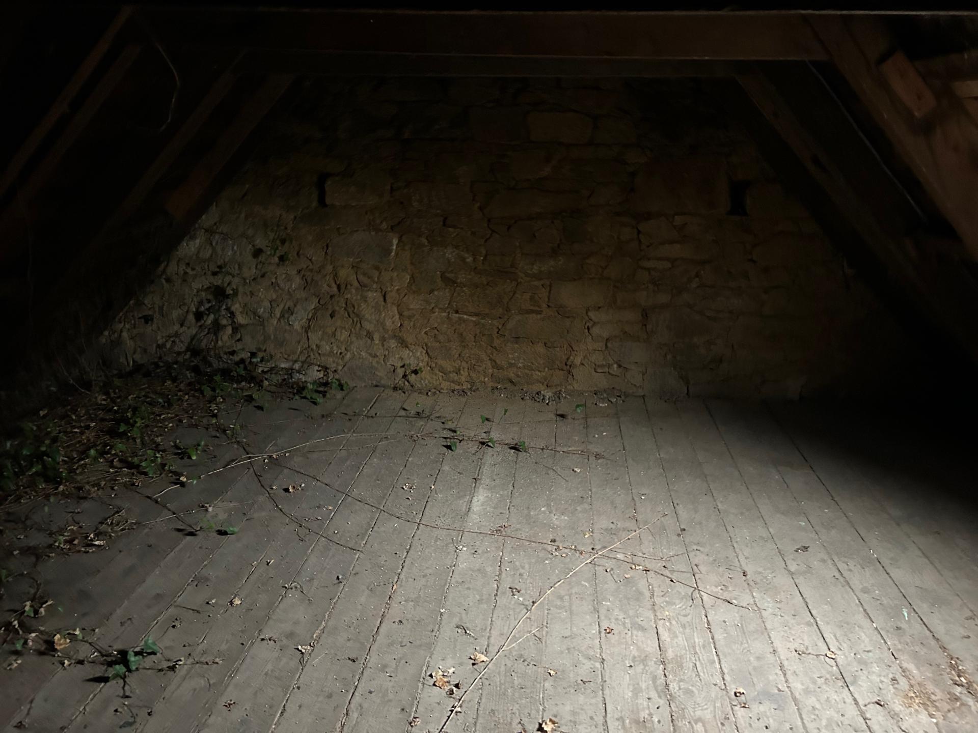 Miniature photo - 7 / 7