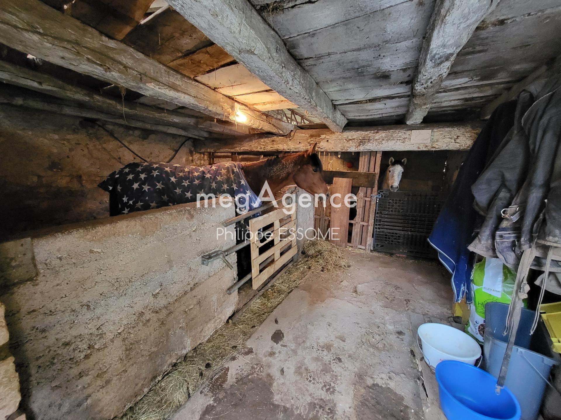 Miniature photo - 4 / 20