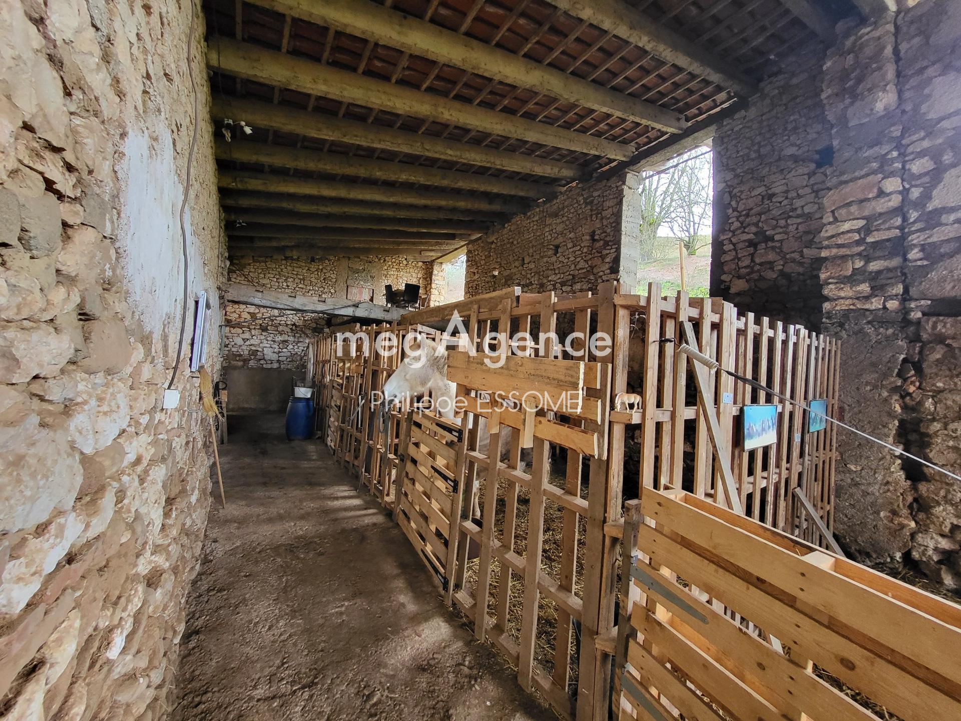 Miniature photo - 5 / 20