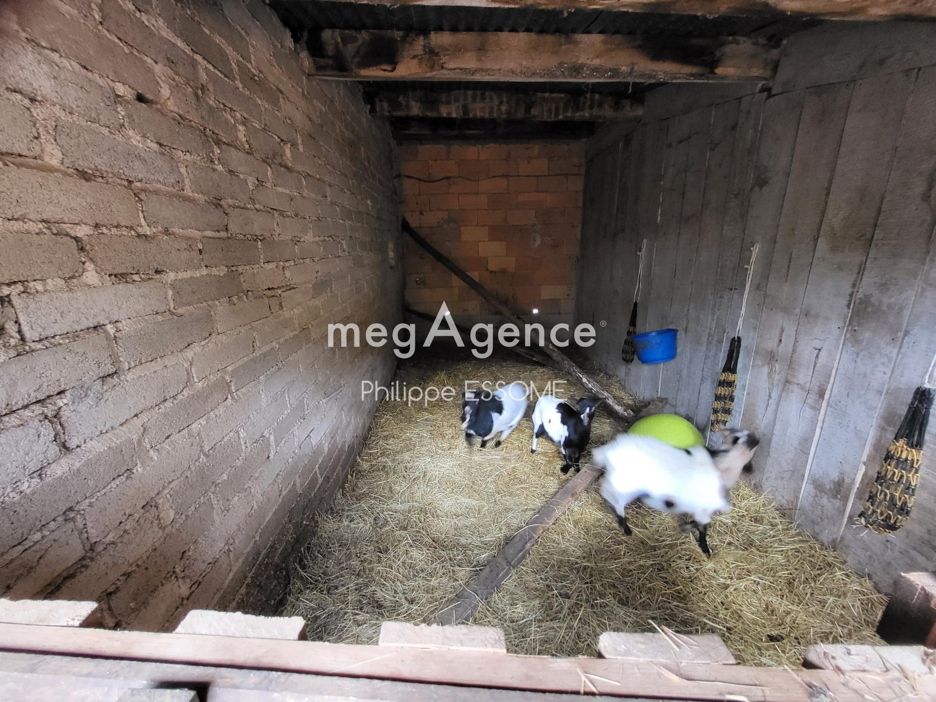 Miniature photo - 17 / 20