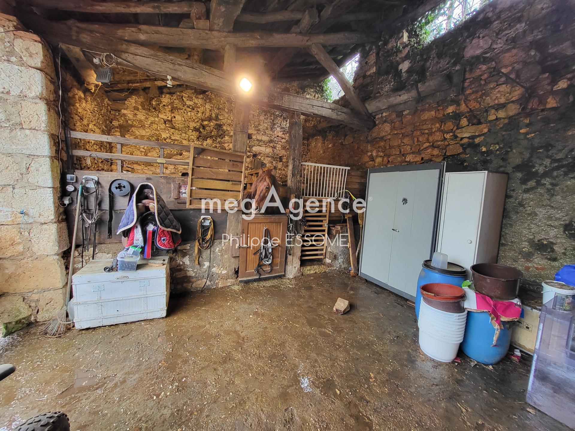 Miniature photo - 2 / 20