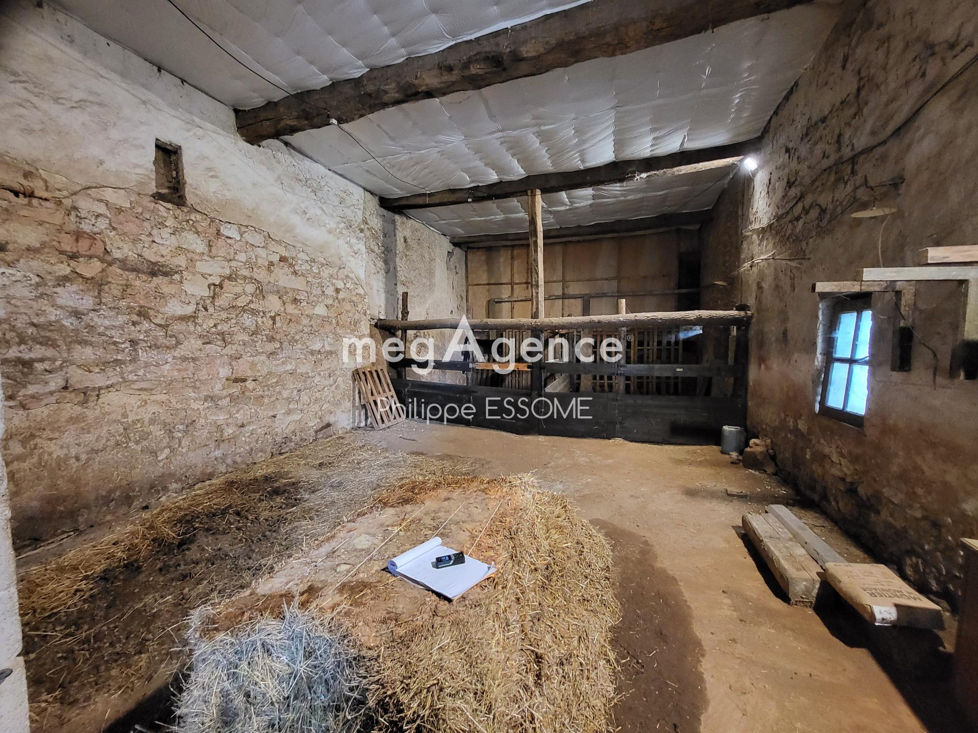 Miniature photo - 3 / 20